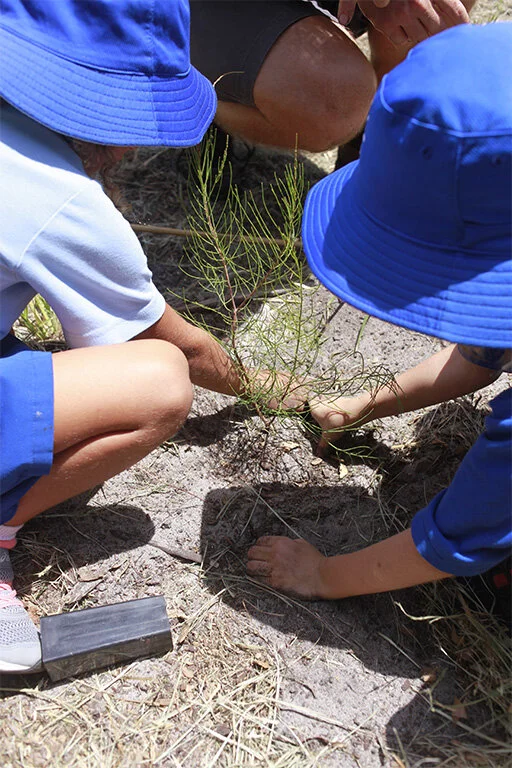 Environmental Education with a difference