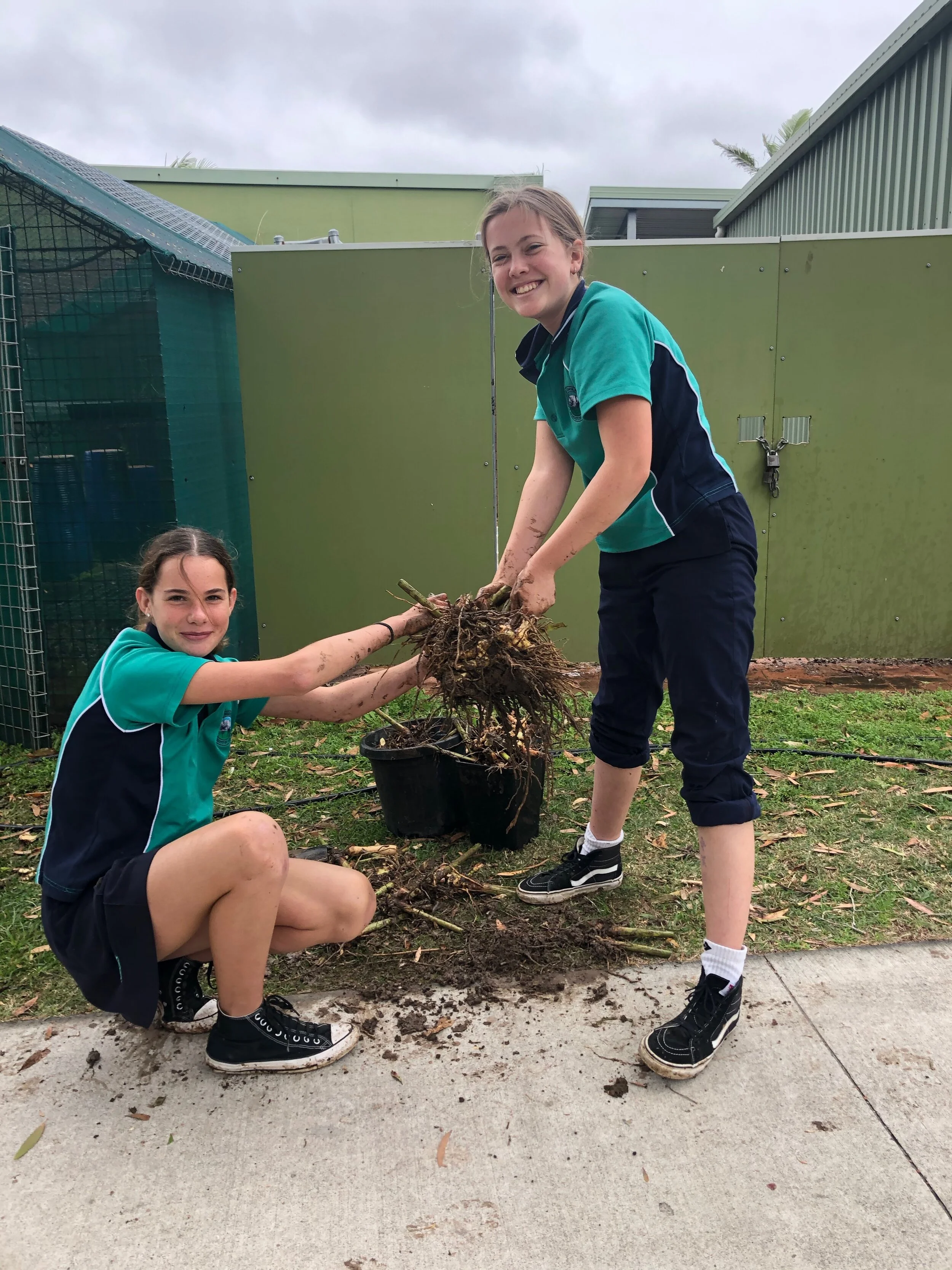 Sunshine Beach State High School Eco Club
