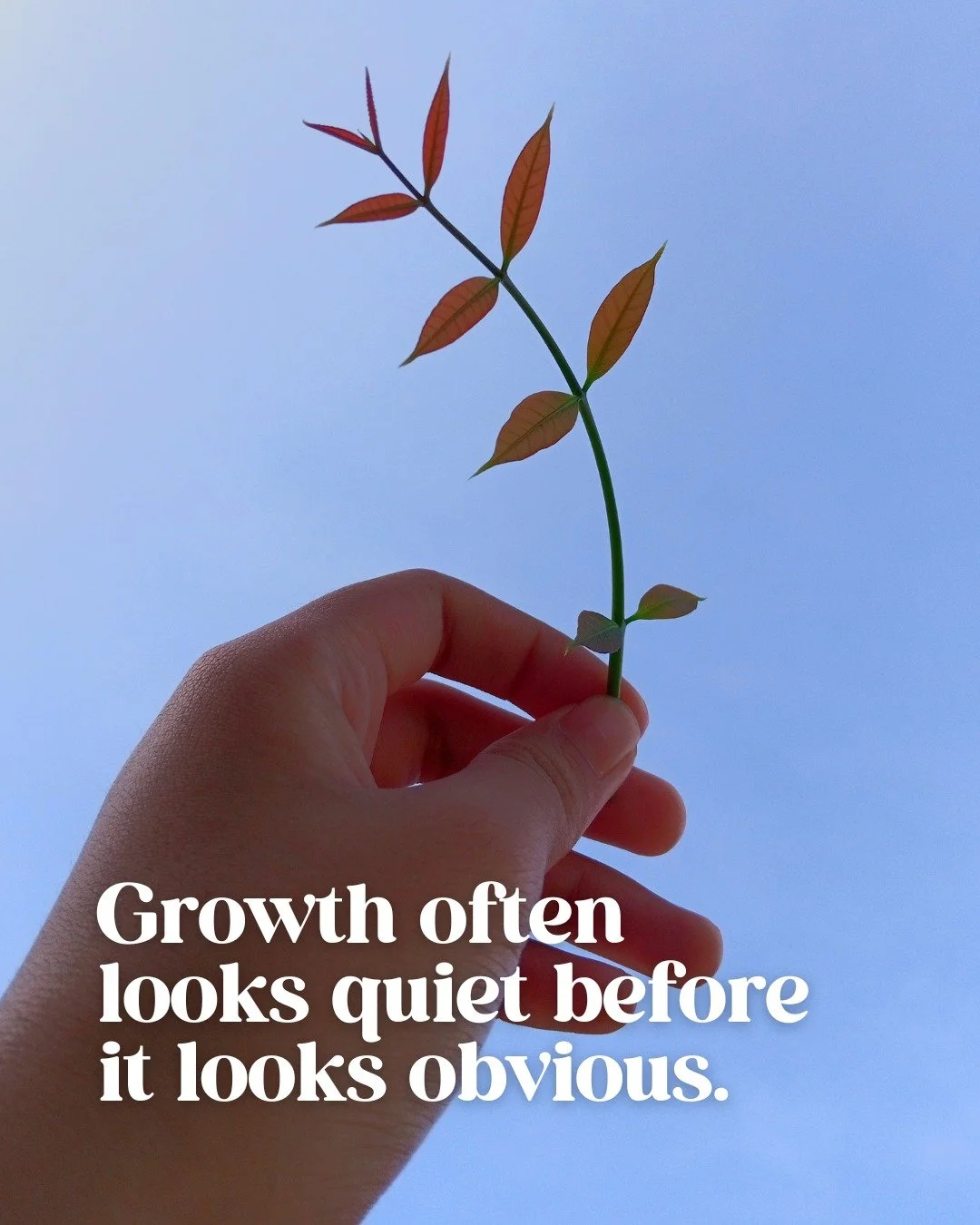 Progress doesn&rsquo;t always show up as big shifts or sudden clarity. Often, it&rsquo;s subtle changes in how you respond, what you tolerate, or the way you speak to yourself.

Quiet growth still counts. Even when it&rsquo;s not obvious yet.

If thi