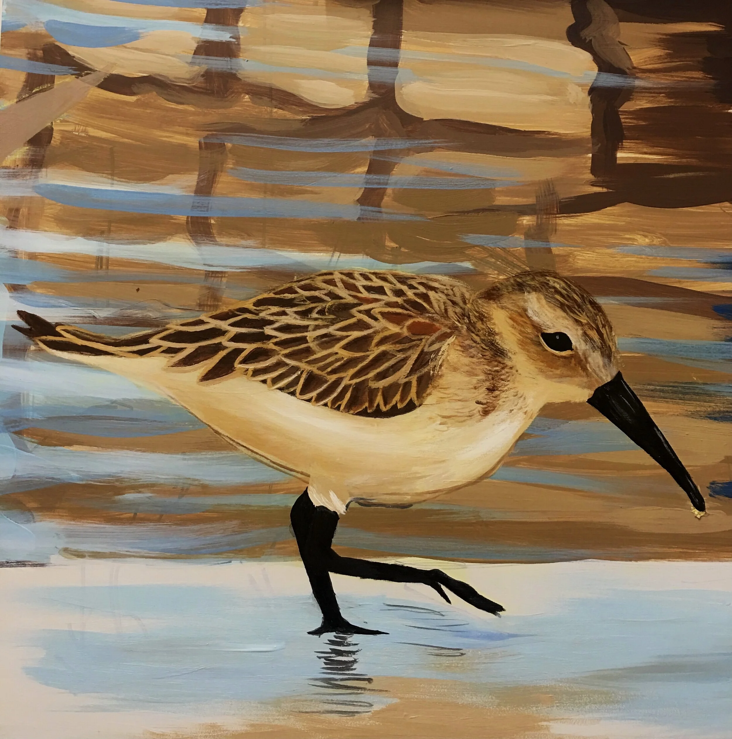Sand Piper