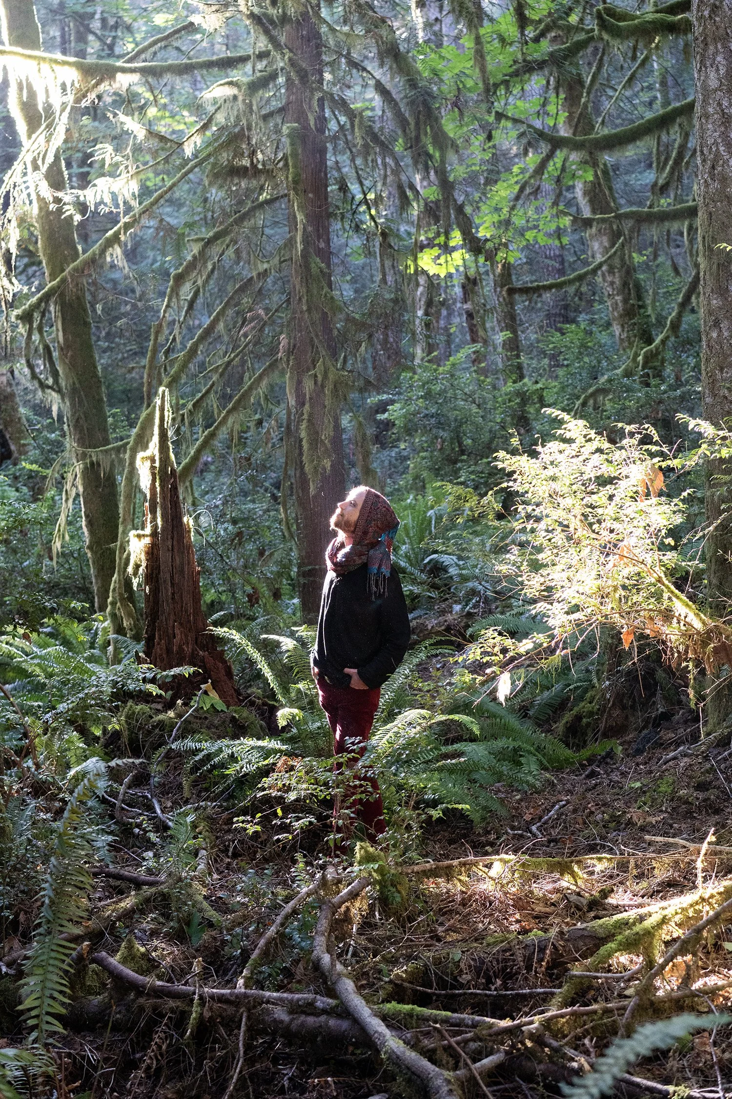 Portrait PNW