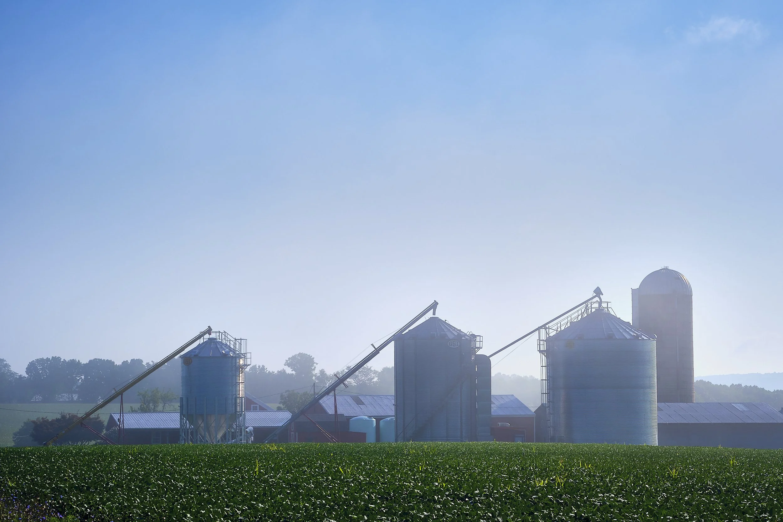 The Farm