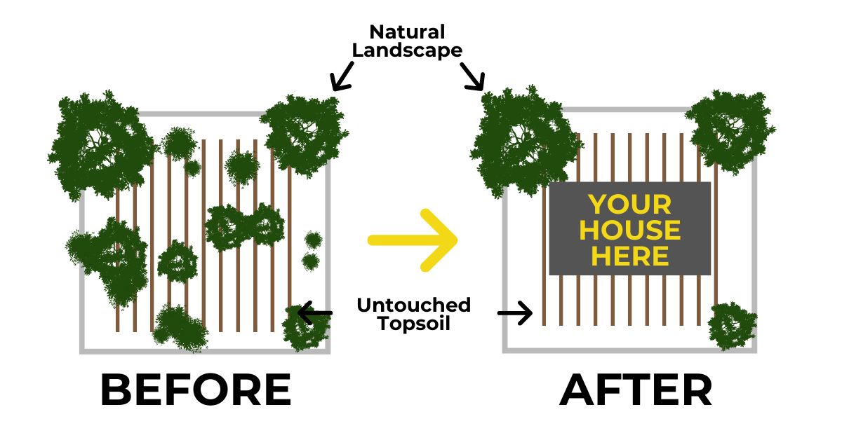 NWA Land & Lot Clearing Gibson Land Management