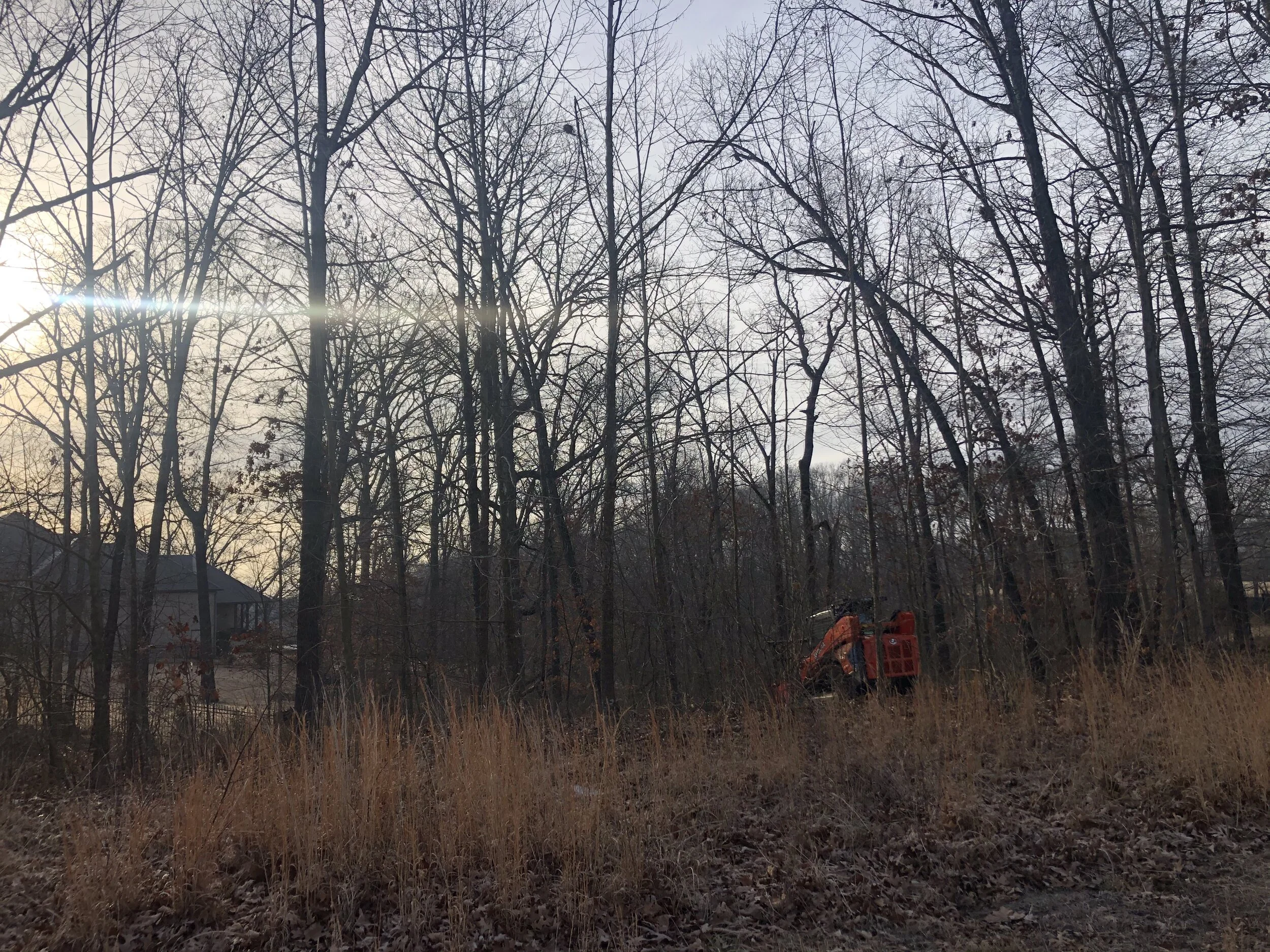 Portfolio NWA Land Clearing Gibson Land Management — Gibson Land