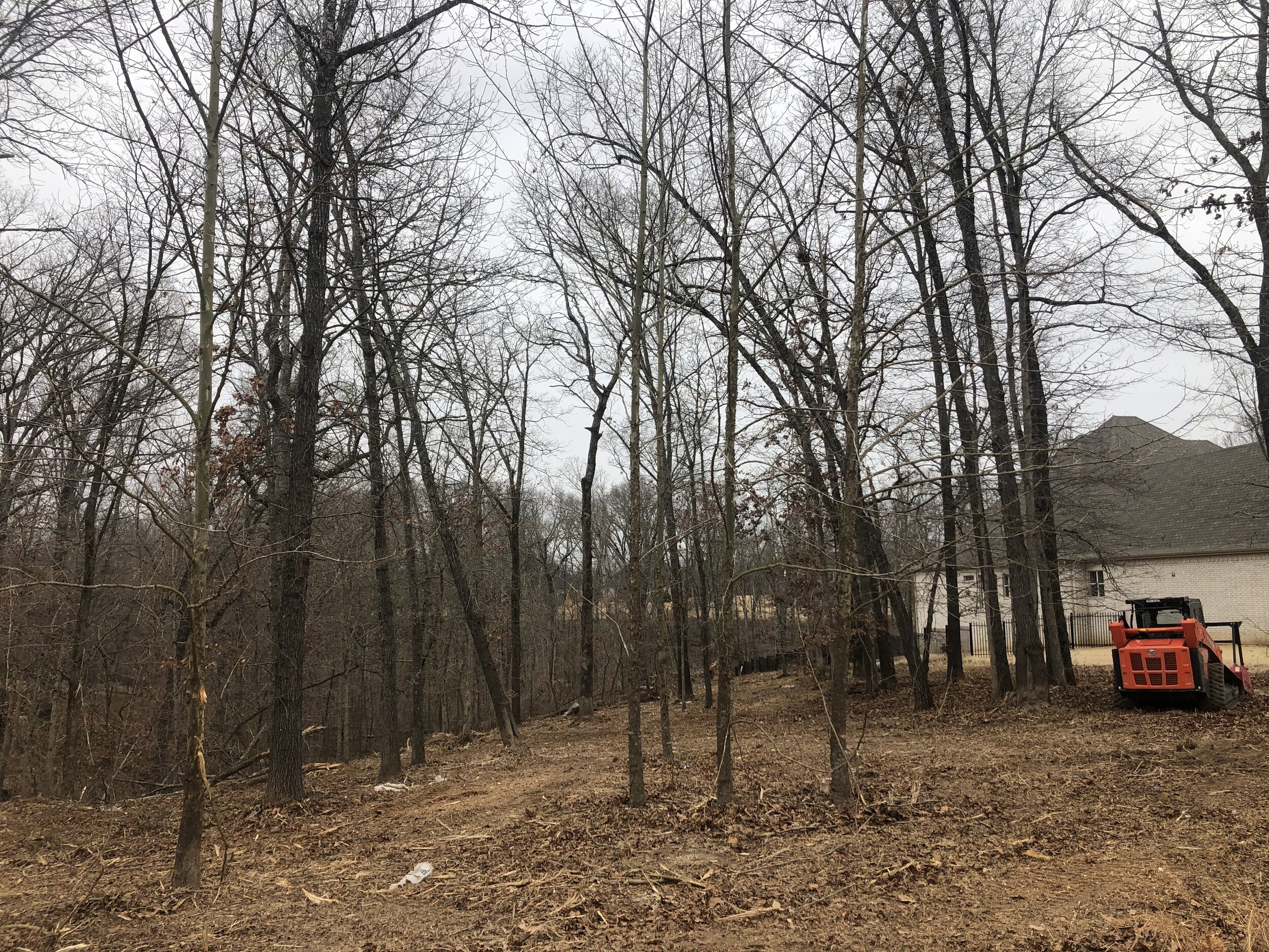 Portfolio NWA Land Clearing Gibson Land Management — Gibson Land