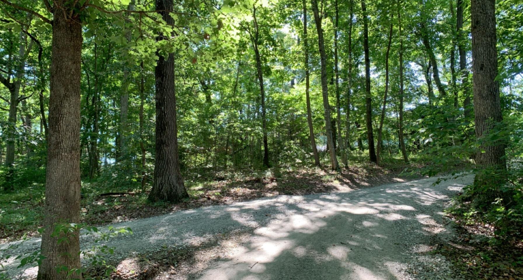 Portfolio NWA Land Clearing Gibson Land Management — Gibson Land