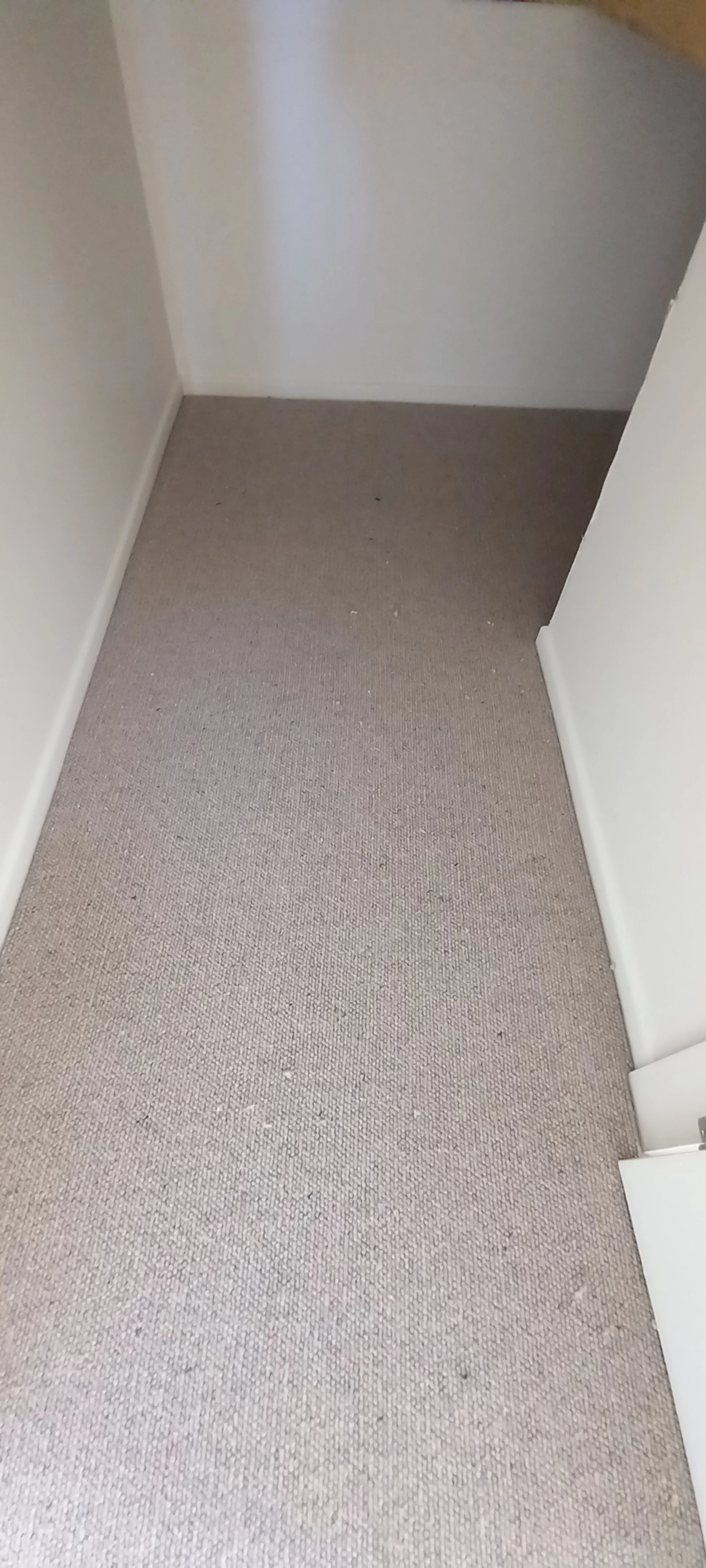 20230724_104757.jpg