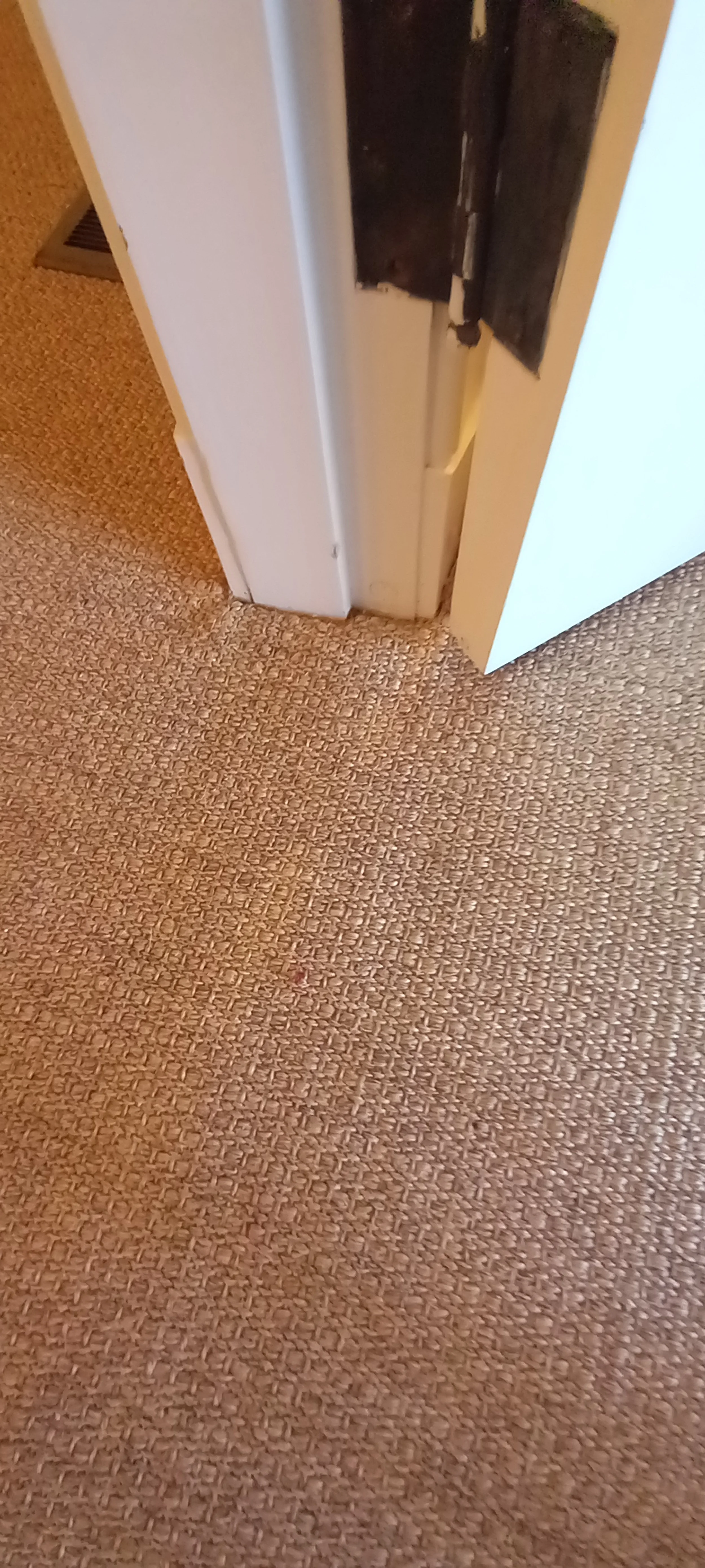 20230329_081307.jpg