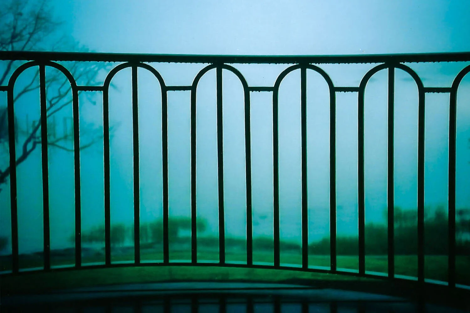 Wrought iron railing by moonlight