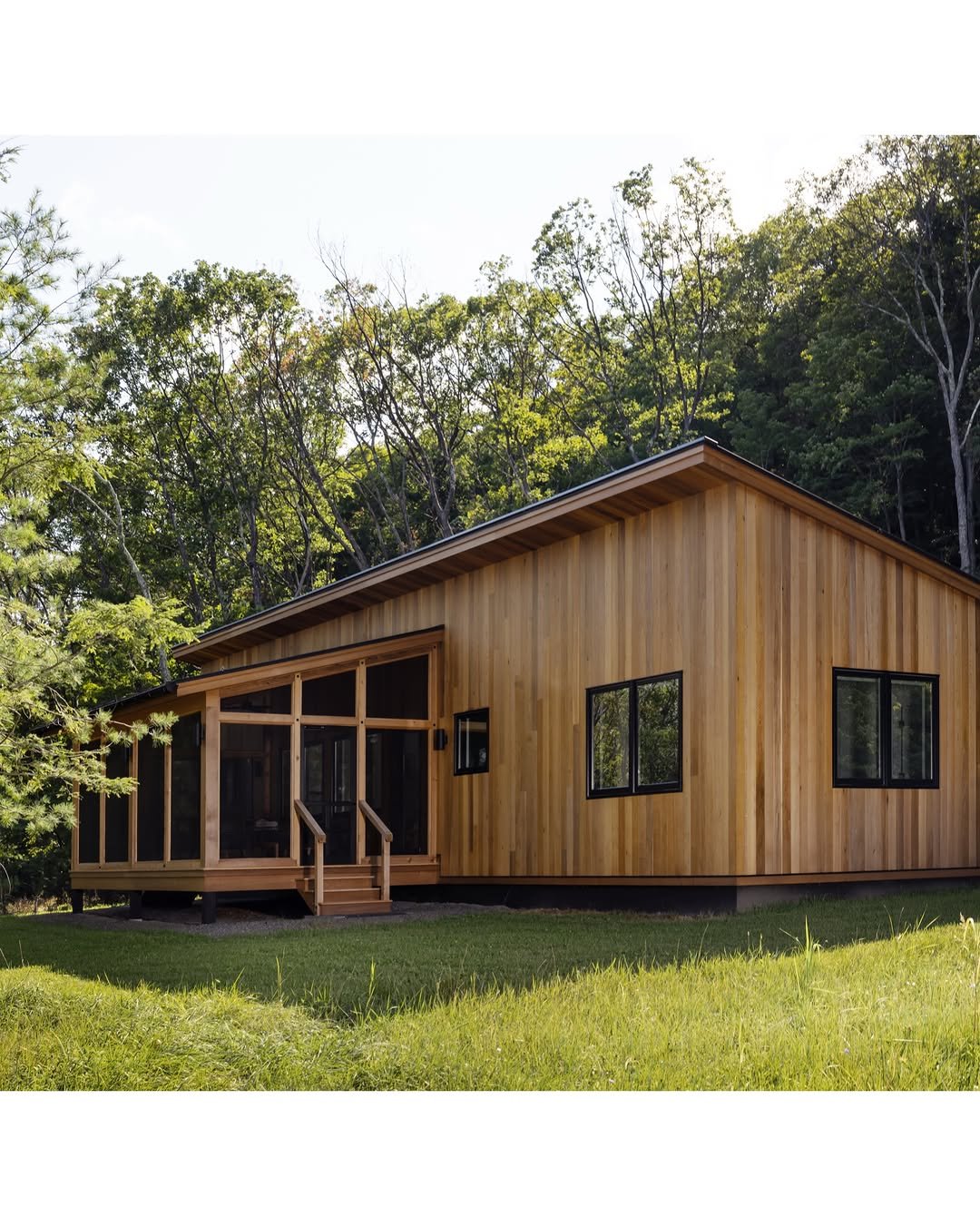 Cedar-clad cabin with a screened porch, black-framed windows, pitched roof, and surrounding woodland.