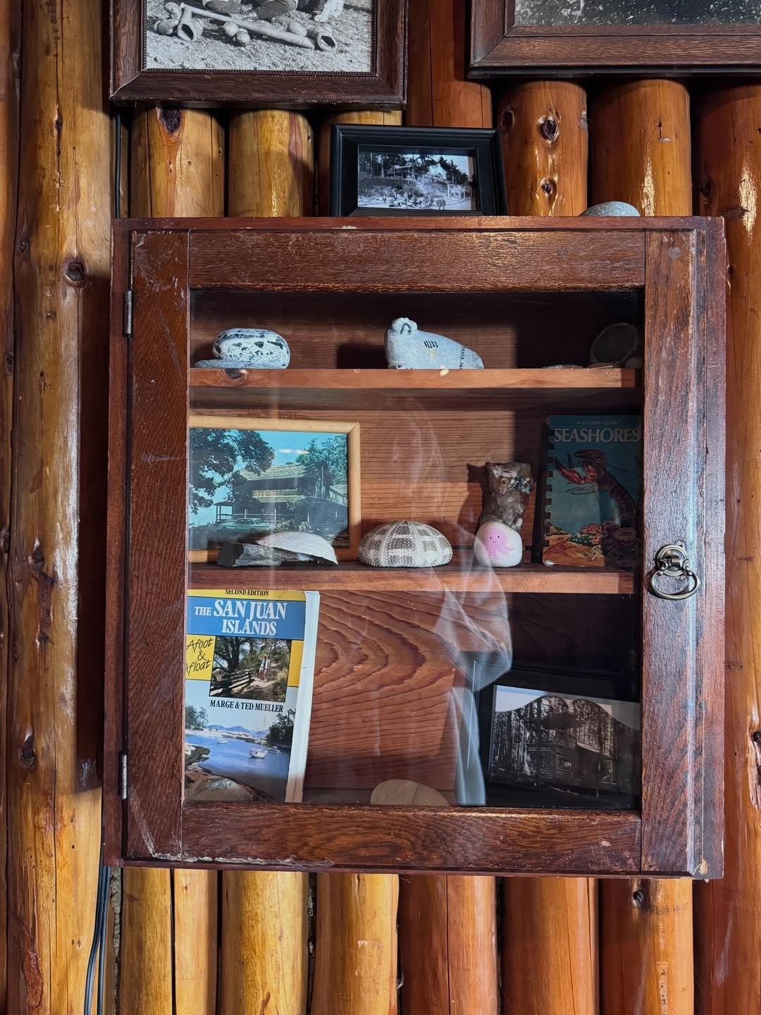 Glass-fronted wooden display cabinet with shells, books, photographs, and collected objects against log walls.