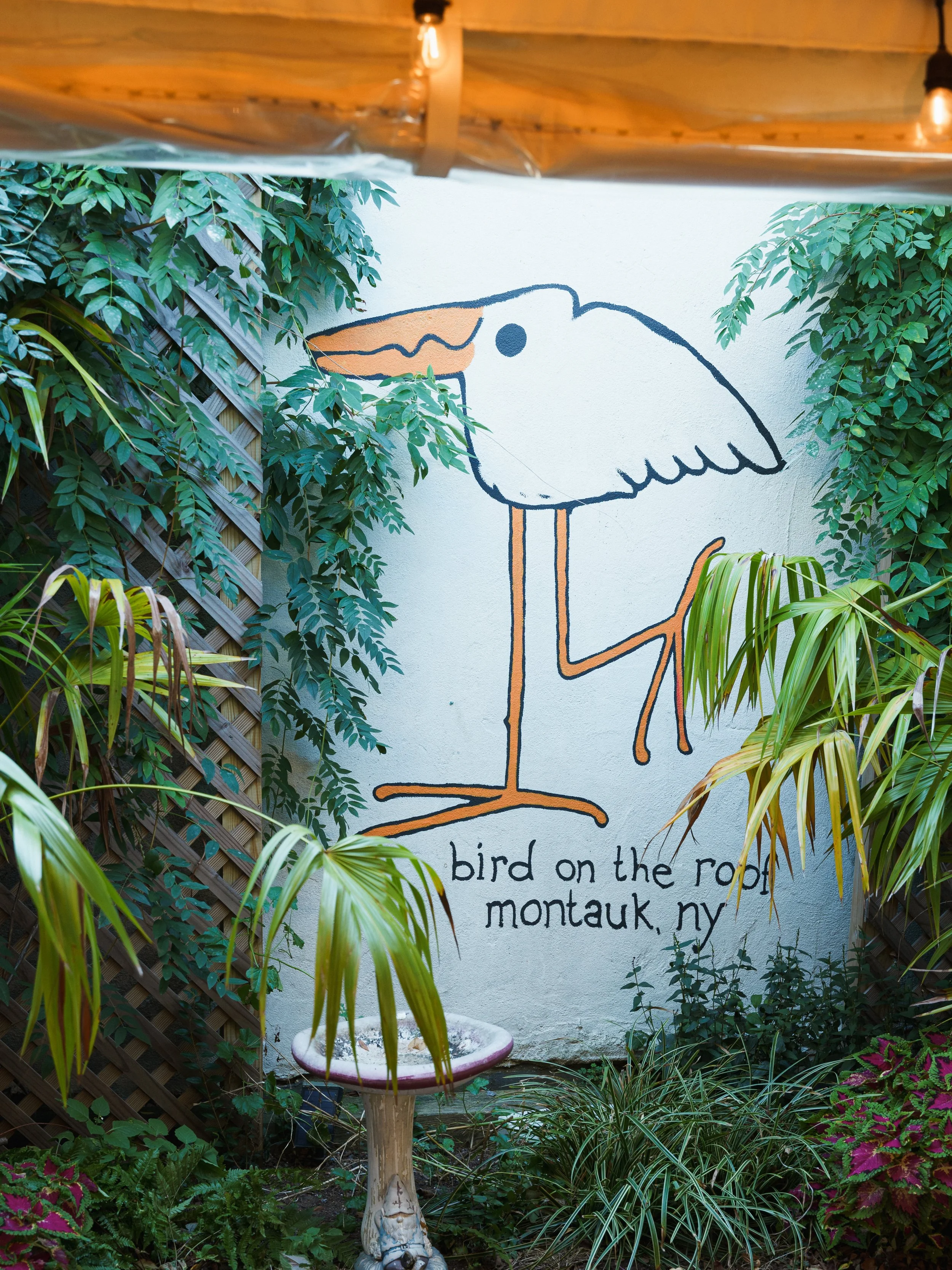 The Bird