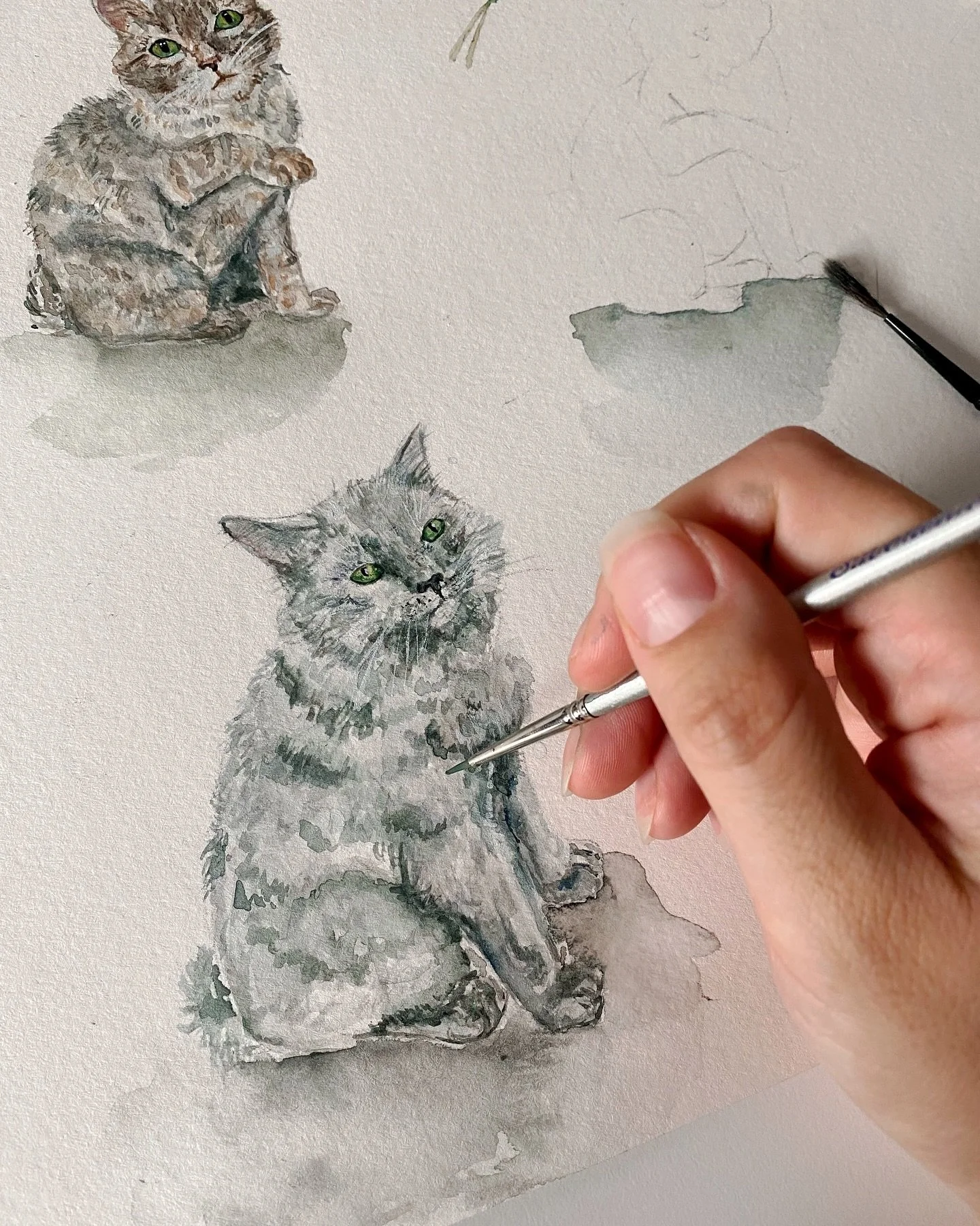 Created these adorable watercolor pet portraits of J&amp;N&rsquo;s cats for their wedding signature drink sign. There&rsquo;s some hints at some of the &ldquo;costumes&rdquo; we dressed them up in for their margarita felinestas. I love incorporating 