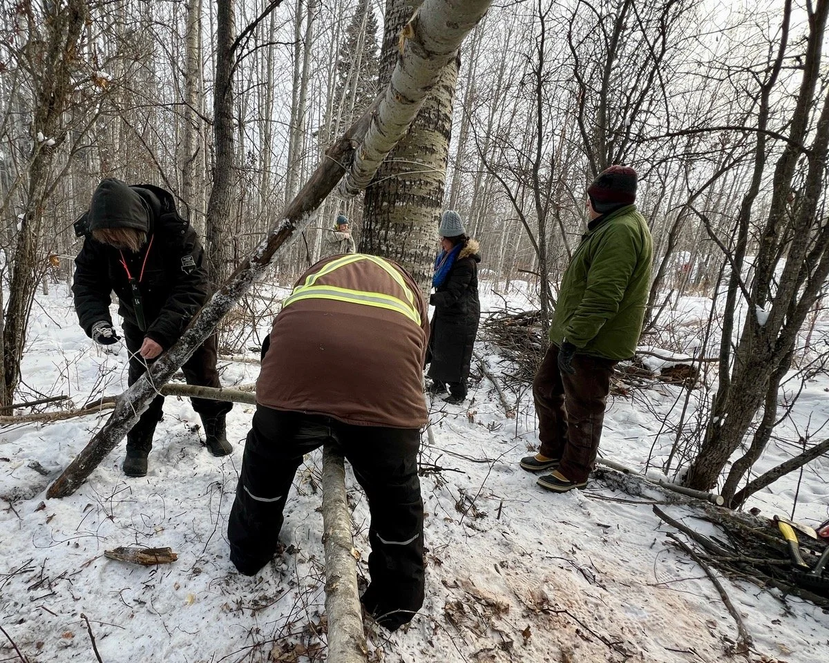 People in winter clothing work together to cut and gather fallen trees in a snow-covered forest.
