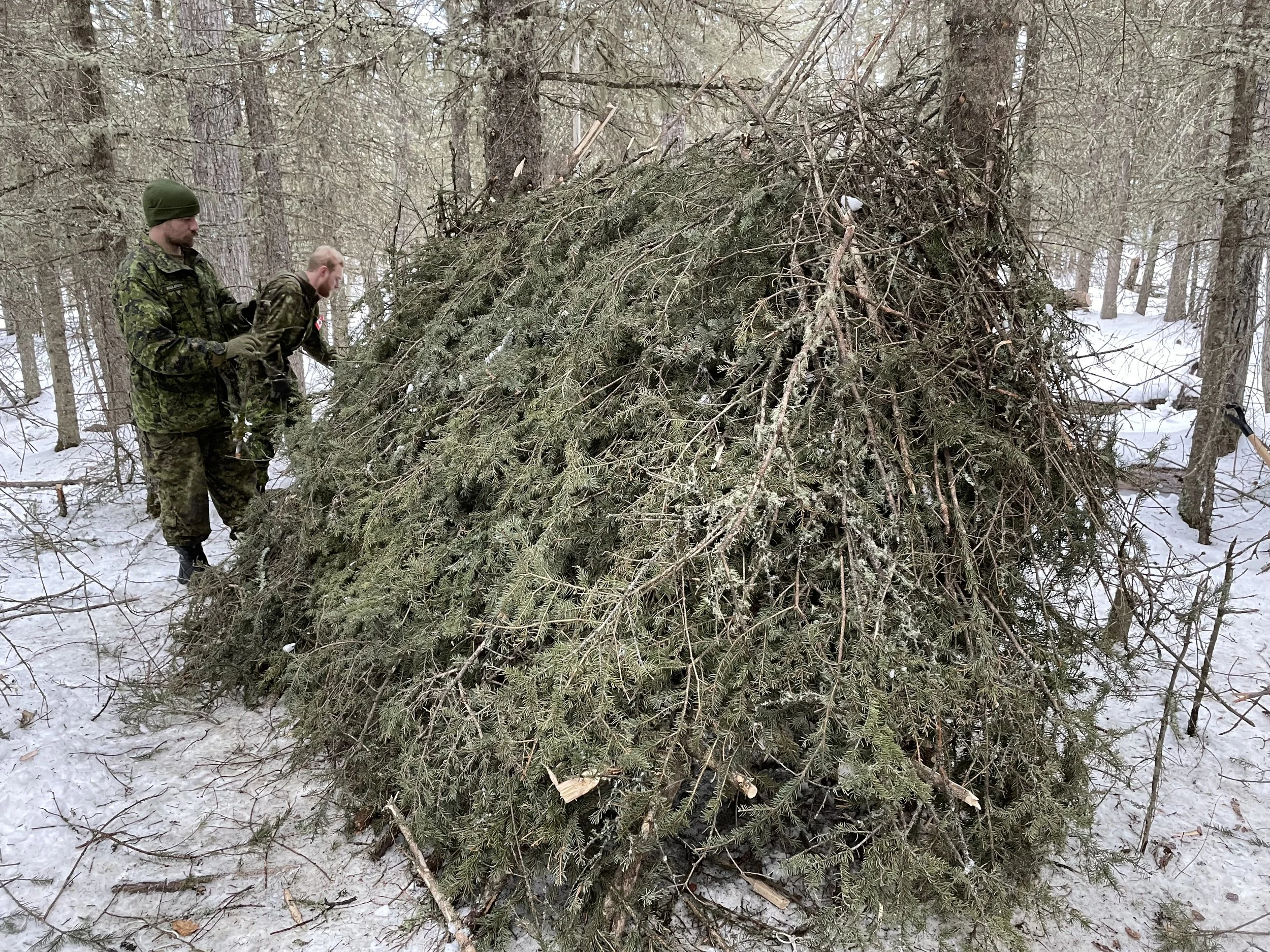 Two soldiers in camouflage uniforms and green hats stand next to a large, overturned evergreen tree in a snowy forest.
