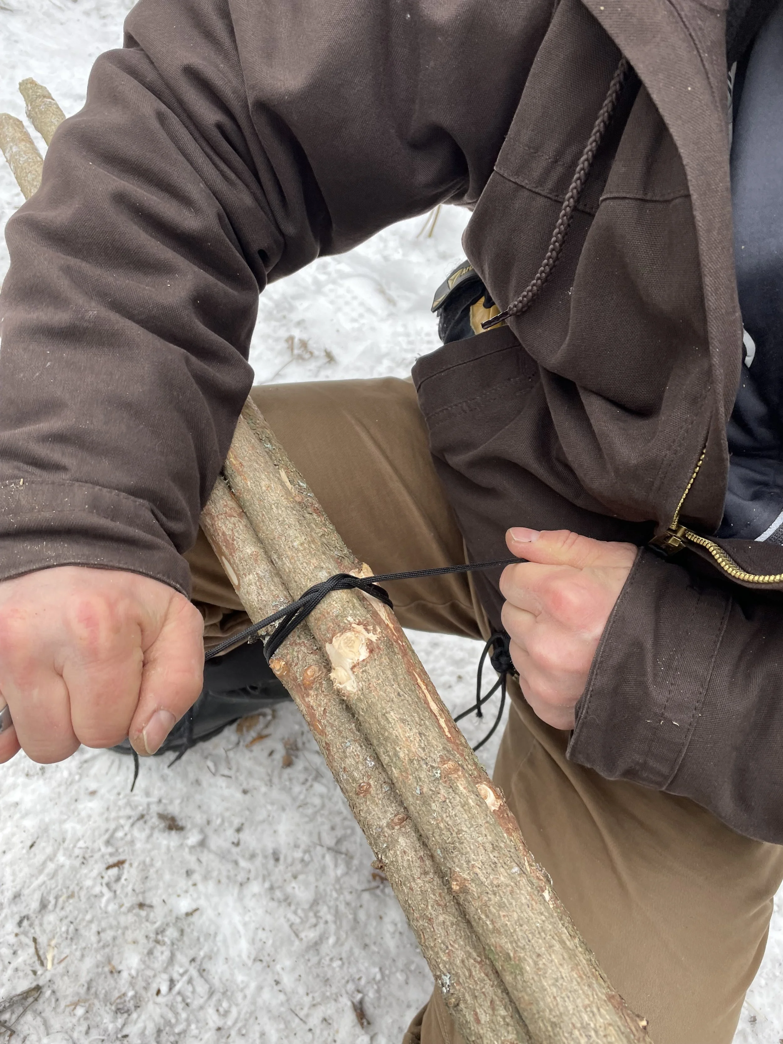 Person tying a black cord around a small tree branch outdoors in a snowy environment.