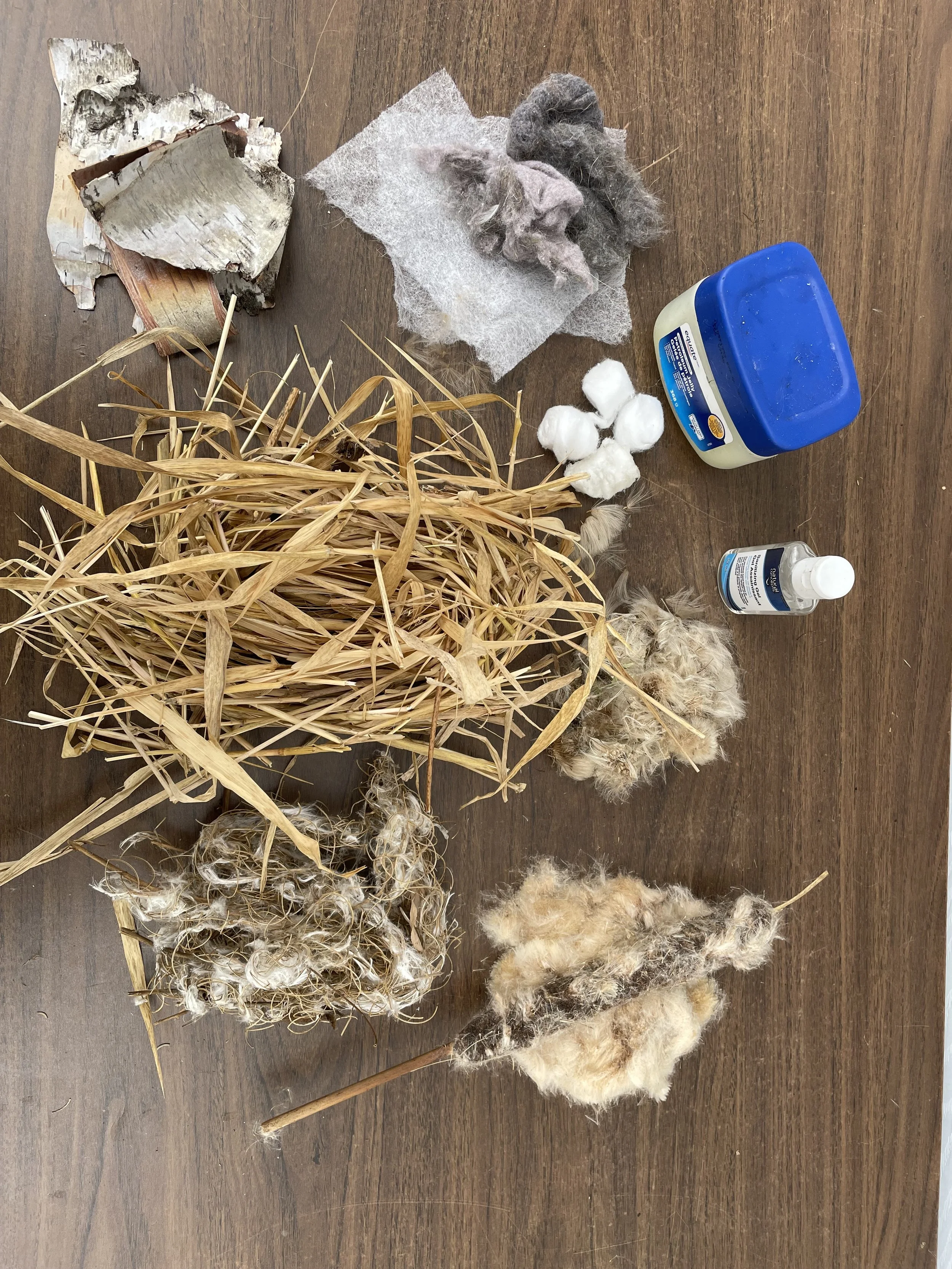 Various natural and synthetic fibers, including dried grasses, cotton, wool, and synthetic fiber fluff, with containers of lotion and hand sanitizer on a wooden surface.