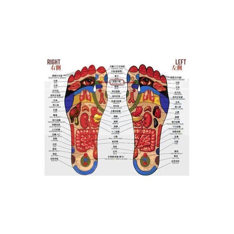 Today I want to talk about maintenance of health. This is when you don&rsquo;t have a health issue and you are fit and feel good. So why have reflexology? Well it&rsquo;s the best place to start isn&rsquo;t it when there isn&rsquo;t a problem, not to