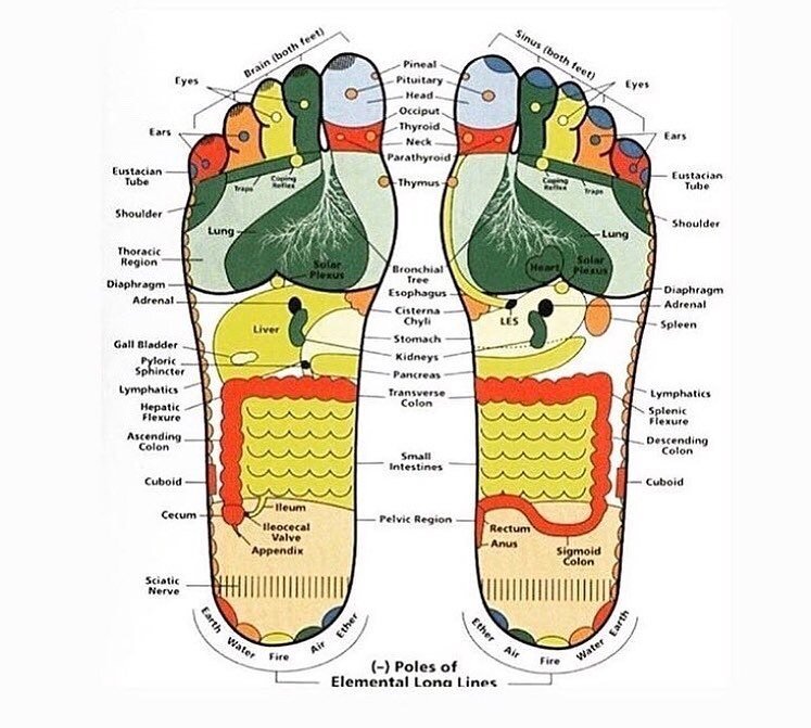 Boost your immune system today!!!
Did you know that reflexology stimulates the immune system? A Reflexologist can also help your sinuses to clear, lungs for breathing and digestive system for overall well-being! It&rsquo;s a holistic treatment for th