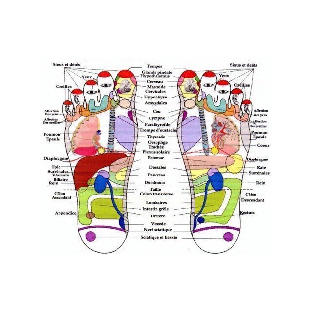 Reflexology for me is an art. The art of reading the feet and manipulating them in a way that enables you to discover the subtleties of health. Each foot is very different as people and personalities are. There is a different energy force that radiat