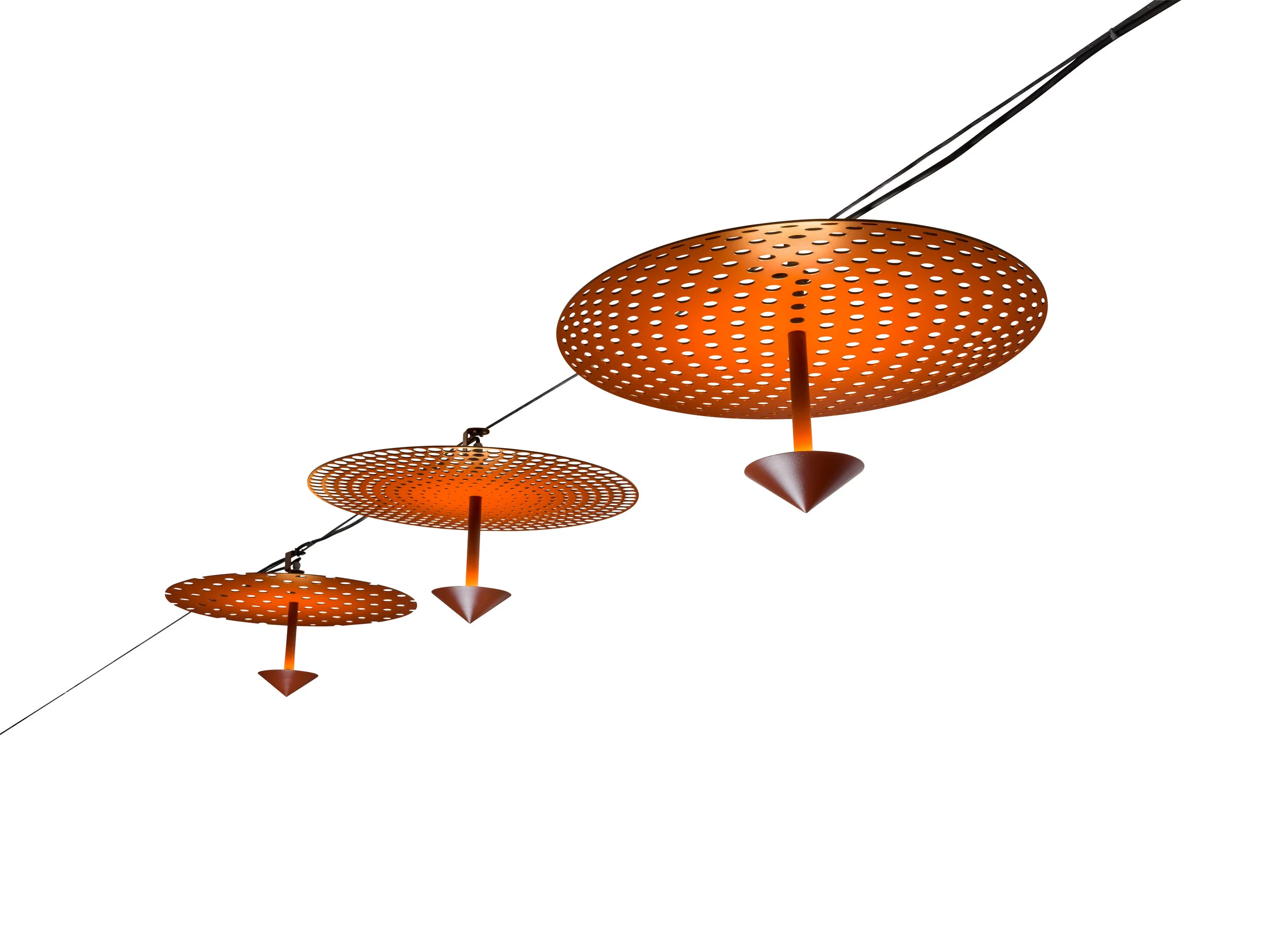 Victoria Wire (2).jpg