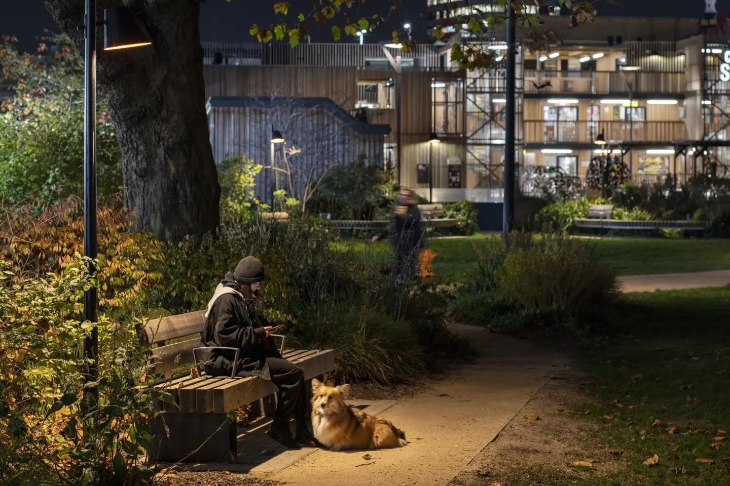 Elephant Park&quot; - London, UK.

 

With an organic approach to lighting, Speirs &amp; Major has created a &quot;green heart&quot; at the

centre of the Elephant &amp; Castle area.

 

With a sustainable balance of light and darkness, the overall d