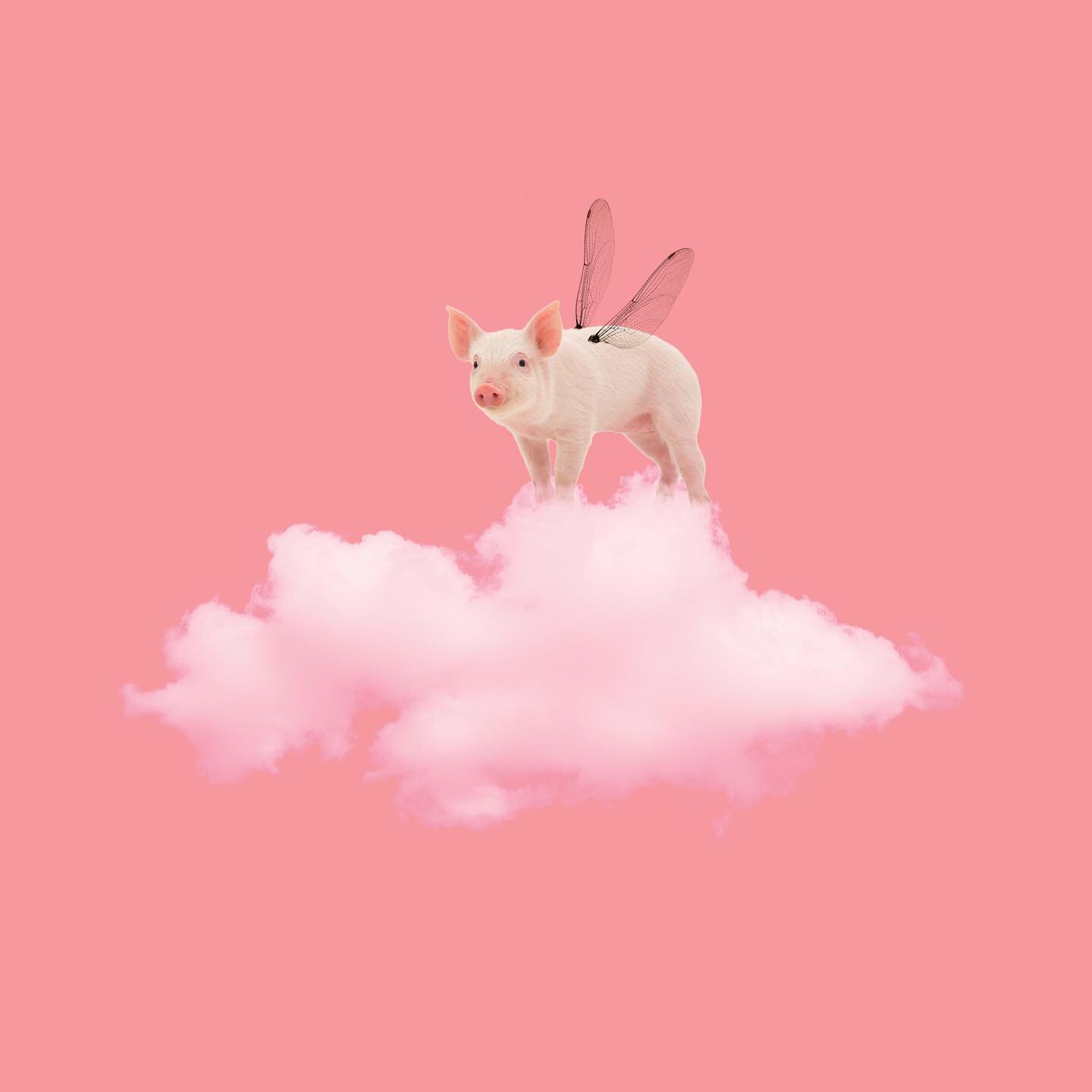 A Pink piggy wishing you are in the pink of health. .
.
.
.
.
.
.
.
.
.
#communication #design #illustration  #picame #thedesigntip #supplyanddesign #graphicgang #graphicdesignblg #designspiration #artstagram #graphicroozane #illustree #illustrationa