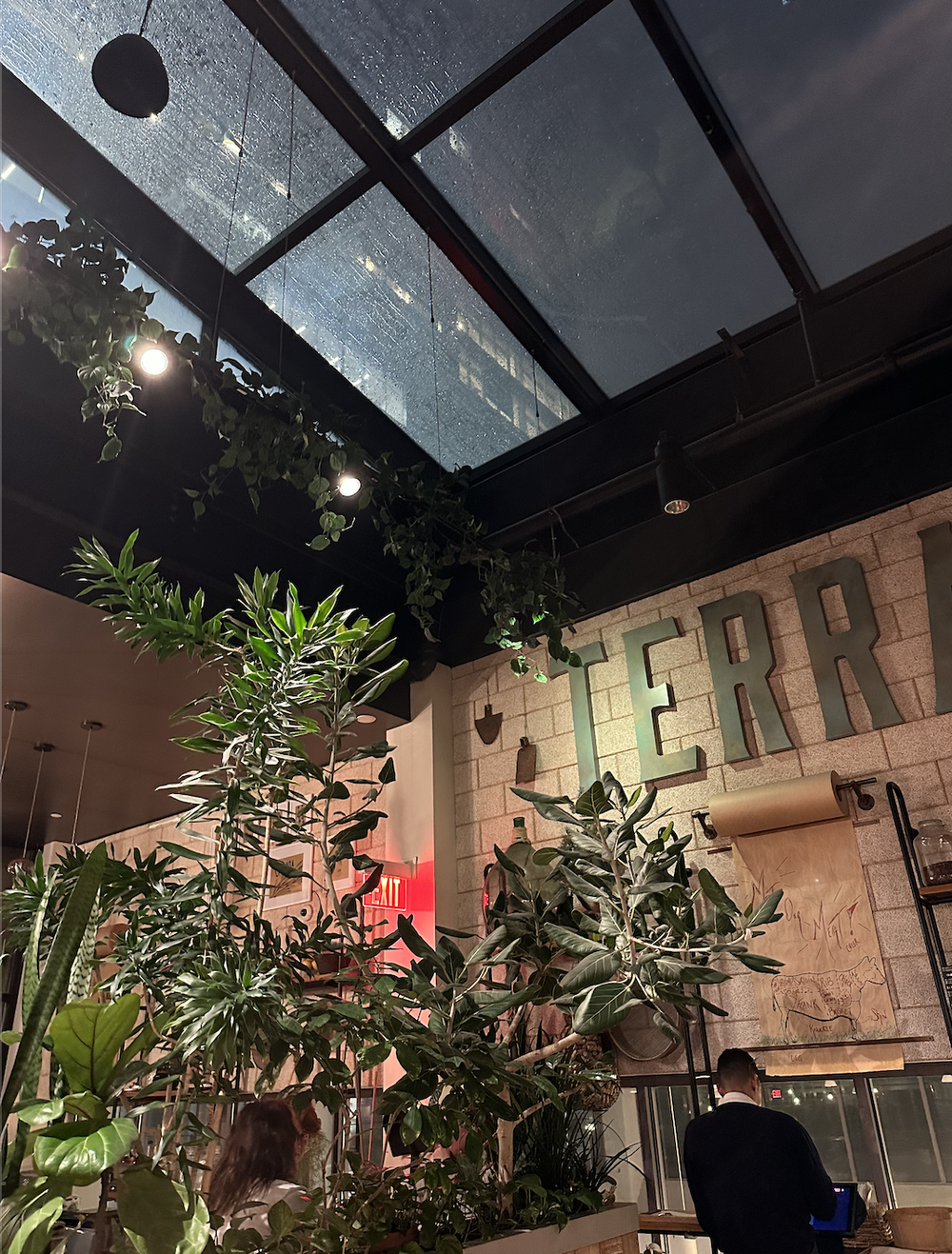 Screen Shot 2023-02-08 at 12.10.06 AM.png