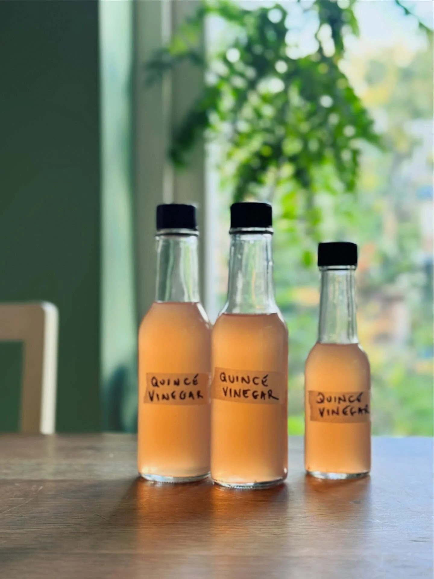 Quince vinegar!
Fruity, floral, pink. And coming in today’s newsletter. Subscribe or visit via the link in my bio ⬆️
#quince #quincevinegar #aceticacid #aceticacidfermentation #homemadevinegar #seasonalcooking #sauerpuss #ingoodtaste