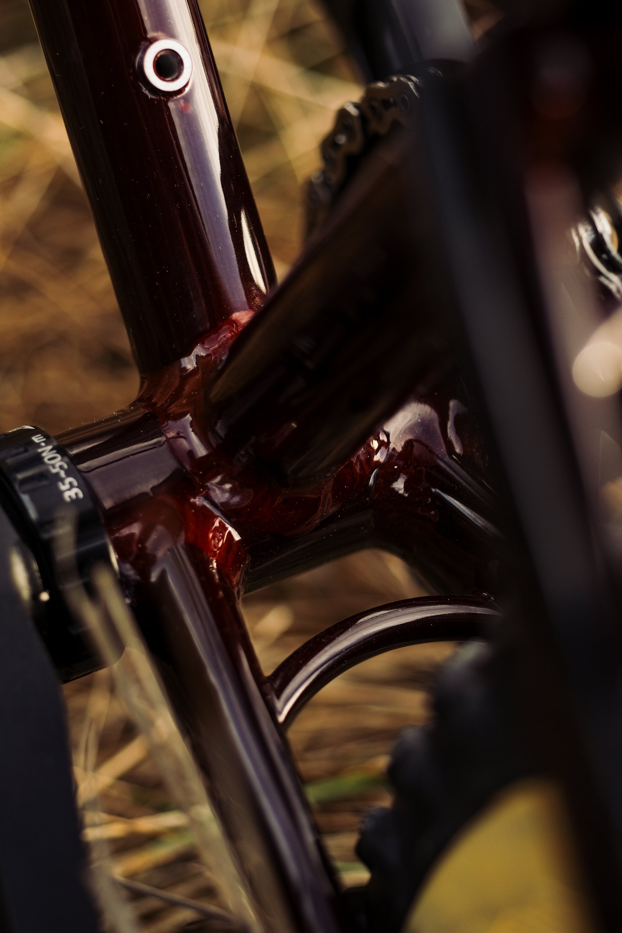 velogaston-8.jpg