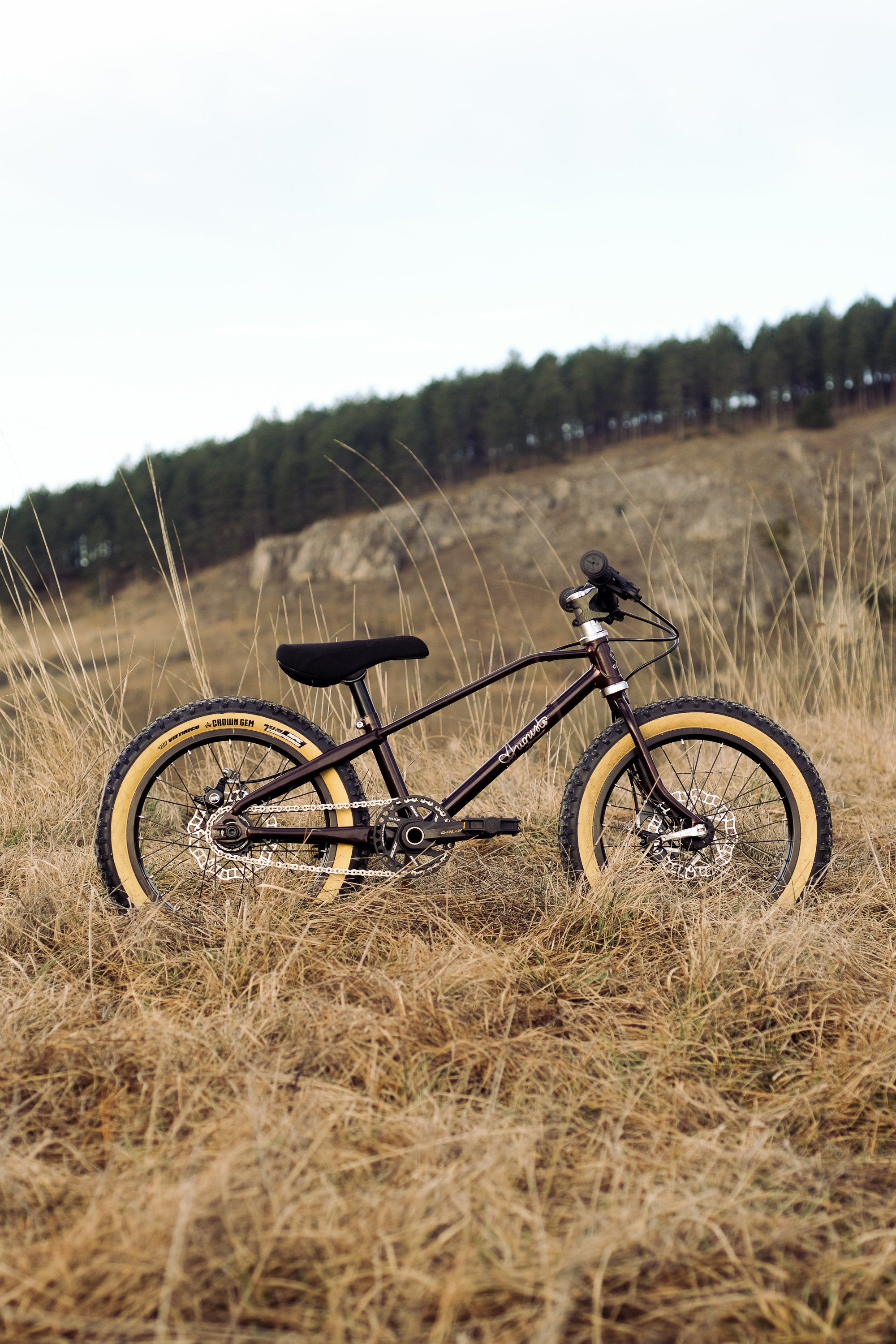 velogaston-2.jpg