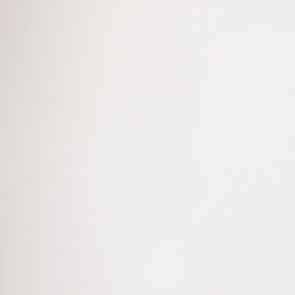 SALT 01 WALK WHITE 02 GOLD 1x1_1000_10fps.gif