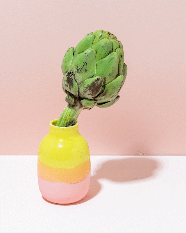 MIIO ARTICHOKE 4x5 640 10fps.gif