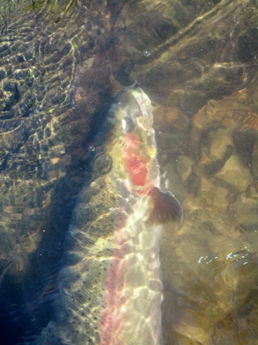 December = Dry Line...yep still