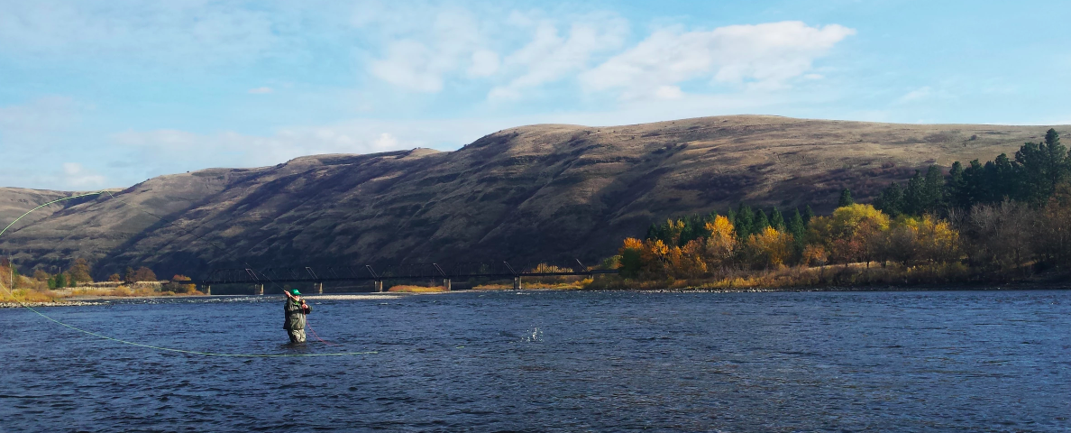 Very Quick Fall Recap