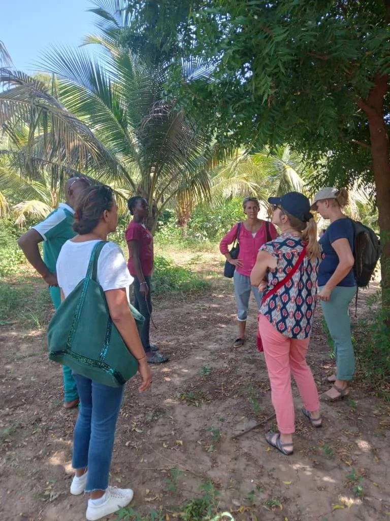 Ferme de 4 cheminsEnviro2022.jpg