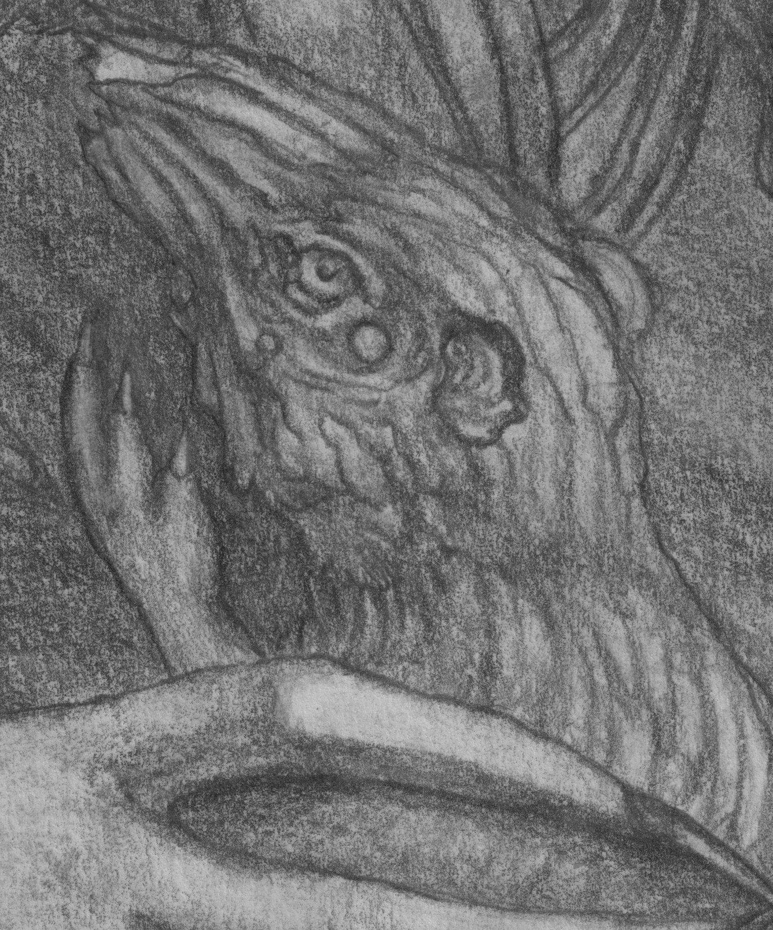 Mes Bera - Gentleman with... rats?