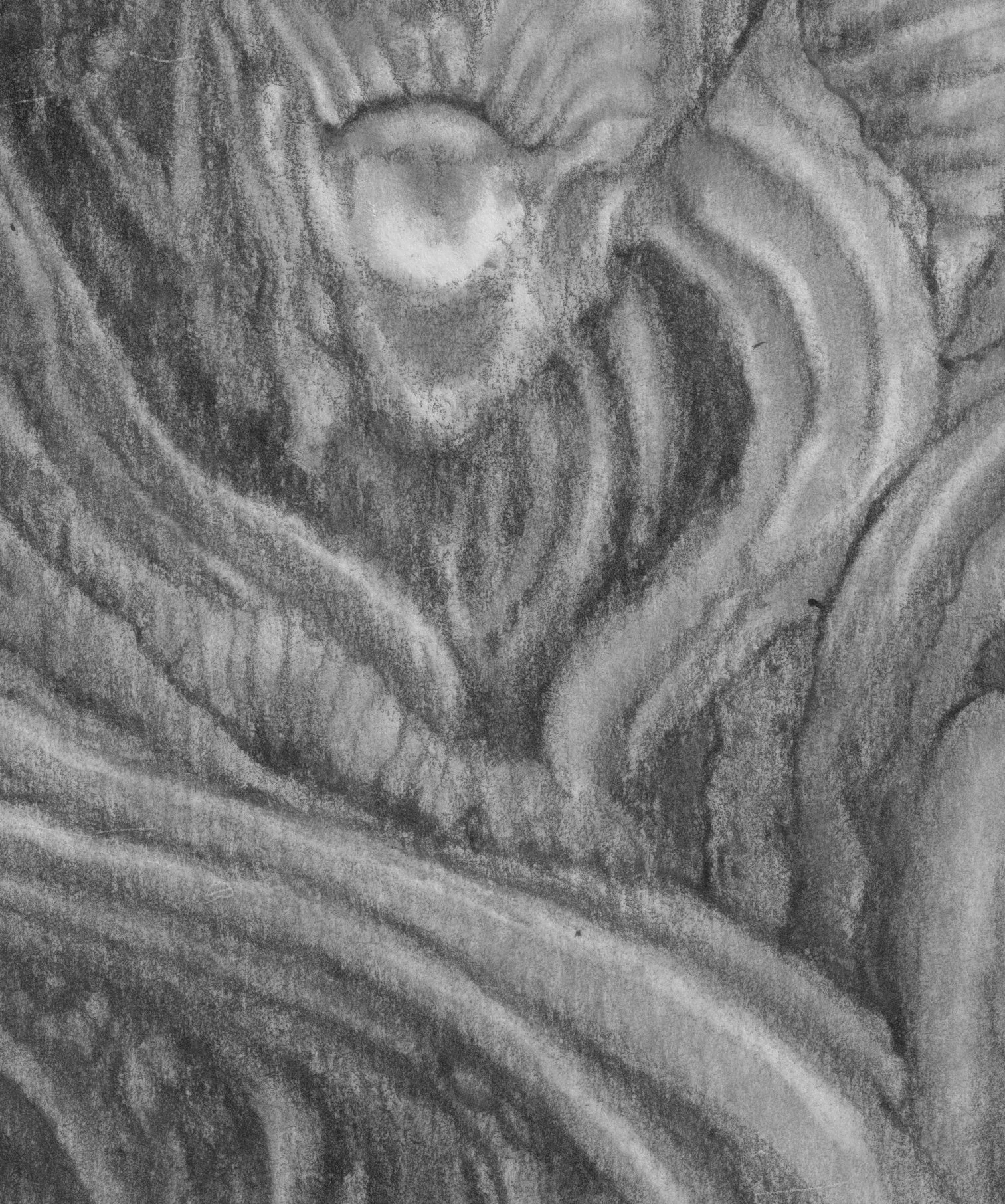 Mes Bera - The Hollow One