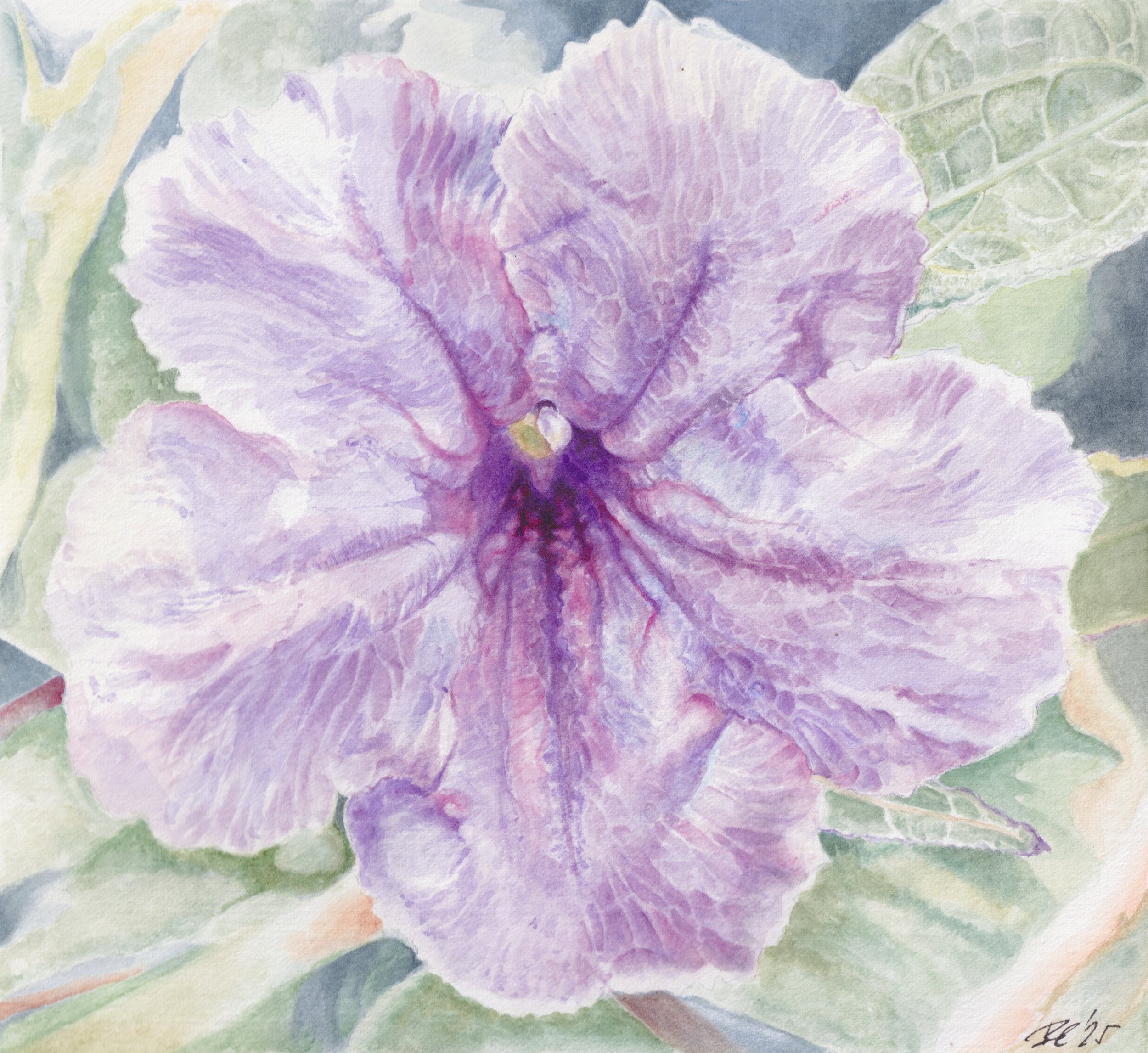       
  
     
   At the Margins 
   
    Wild petunia takes to what is left. It settles where tending has ceased and
    does not wait to be noticed.
   
 

  
 
    


  

  


 
   
    
      

        
          
             
              
  