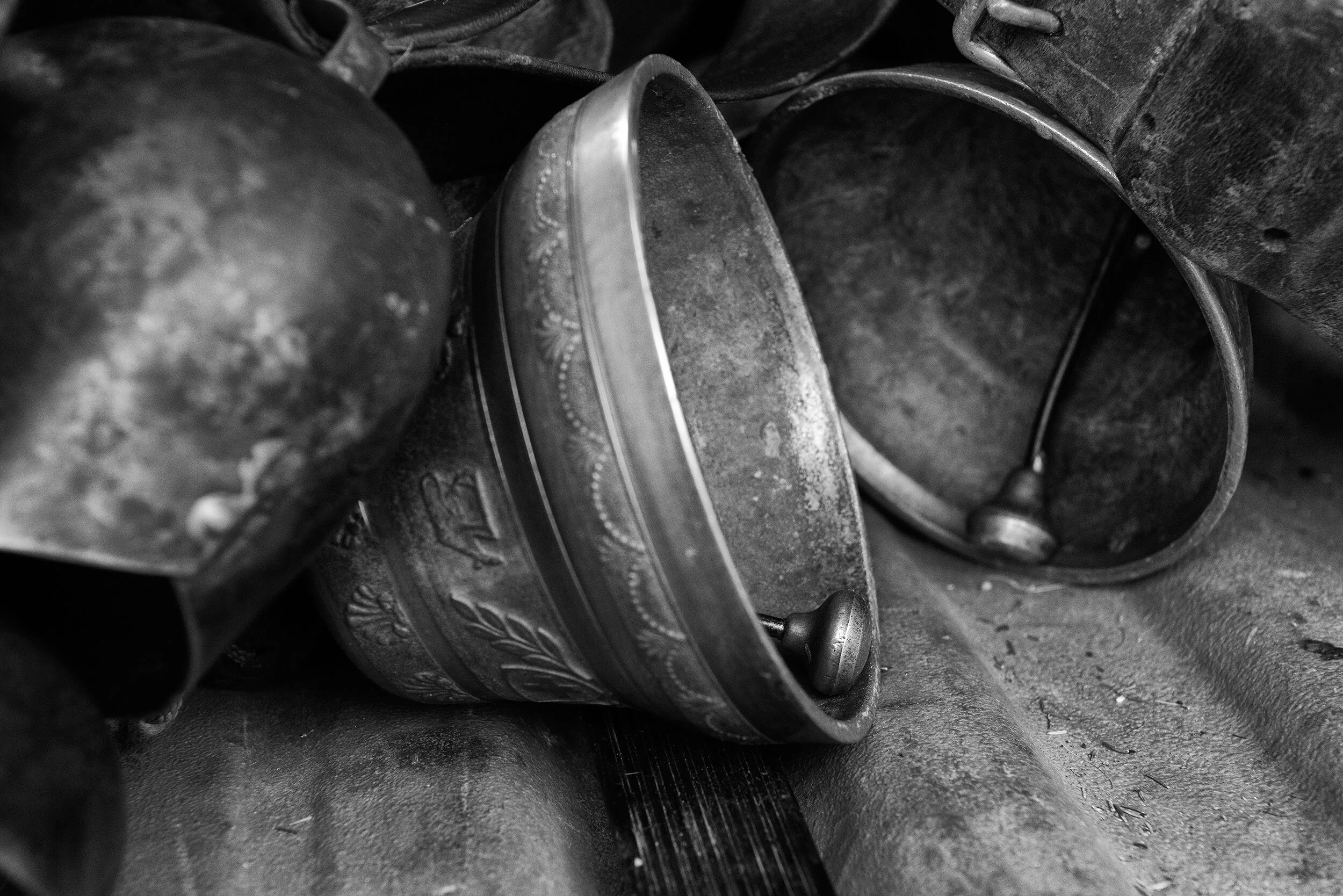 AlpSommer_2089©Desborough.jpg