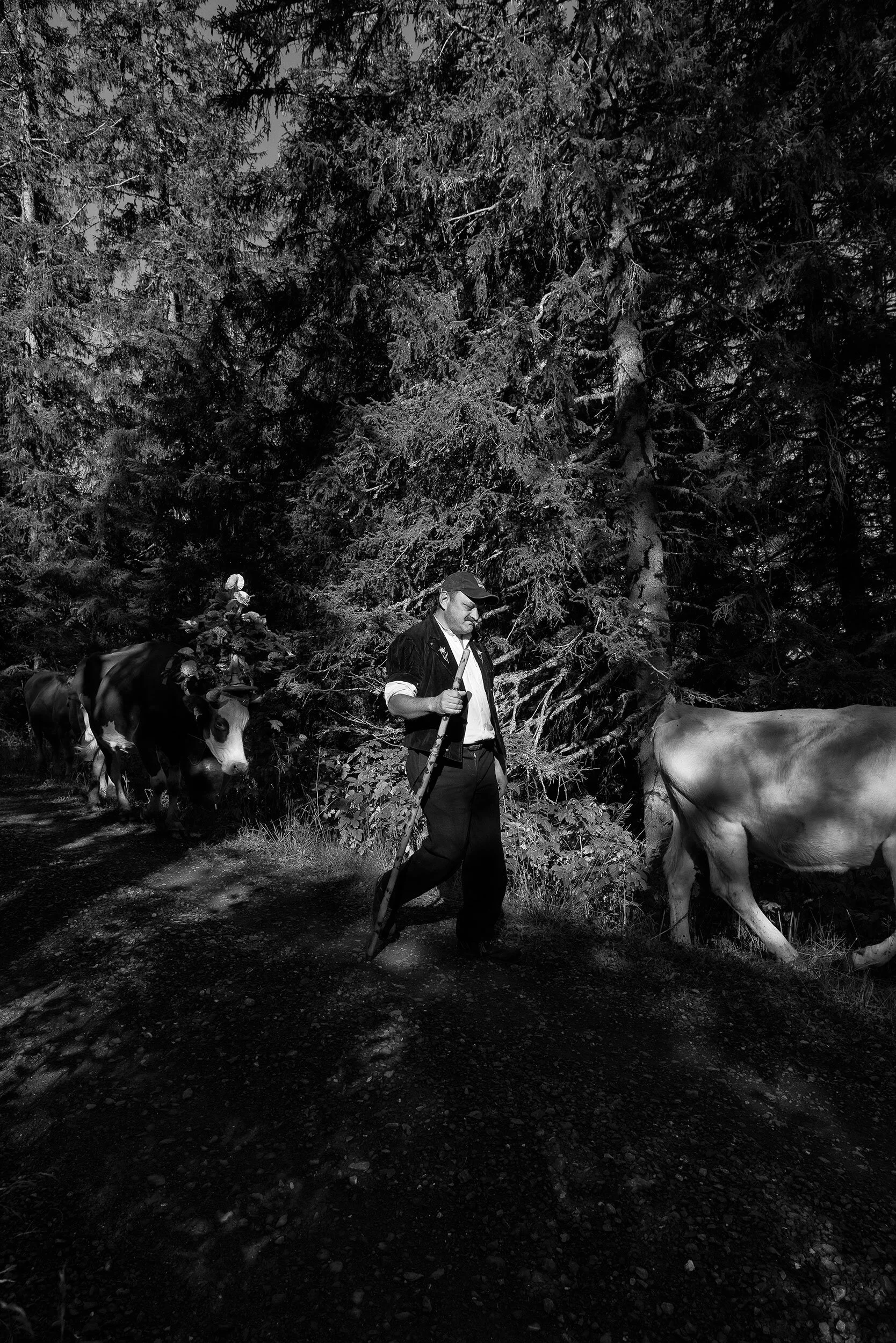 AlpSommer_2304©Desborough.jpg