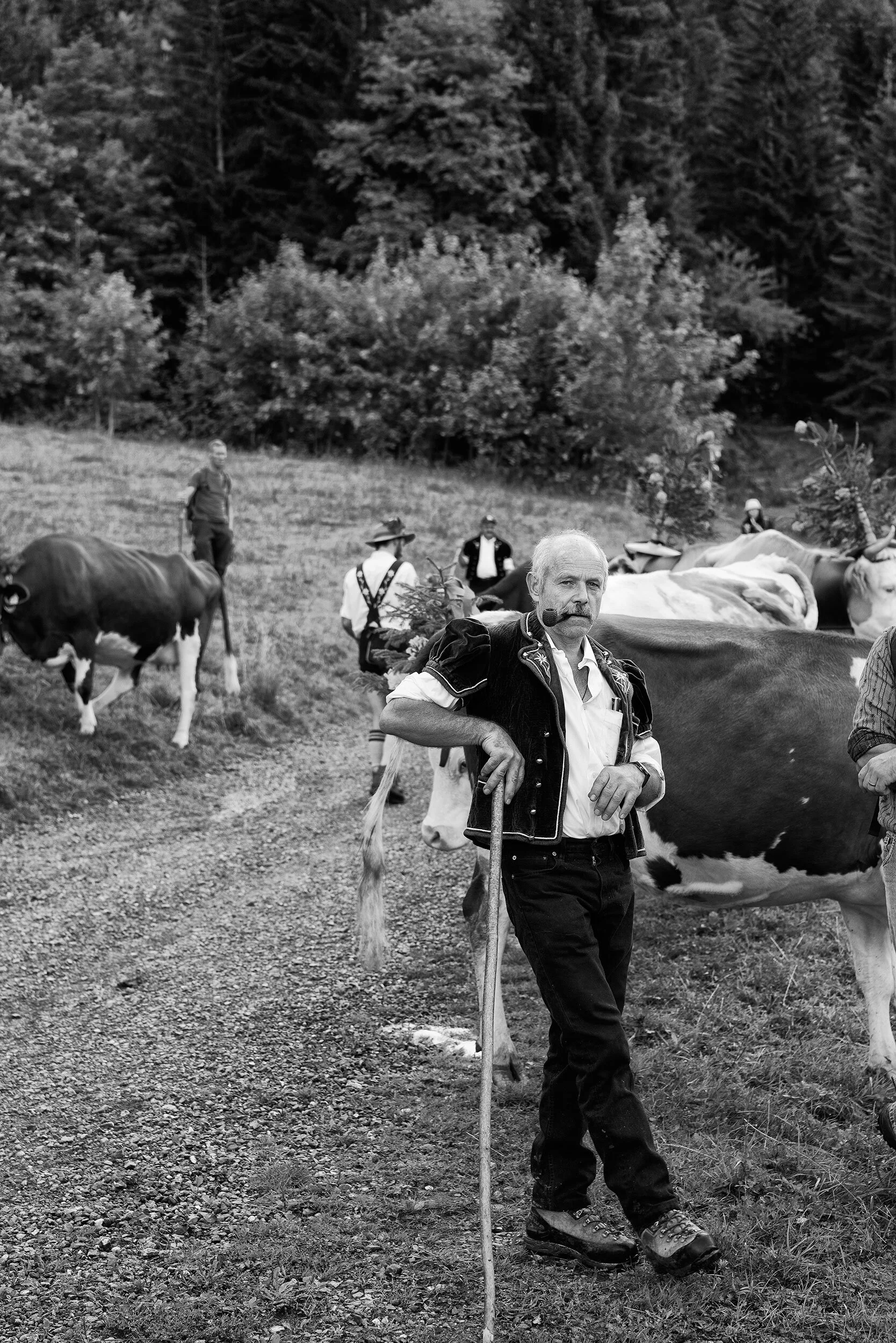 AlpSommer_2453©Desborough.jpg