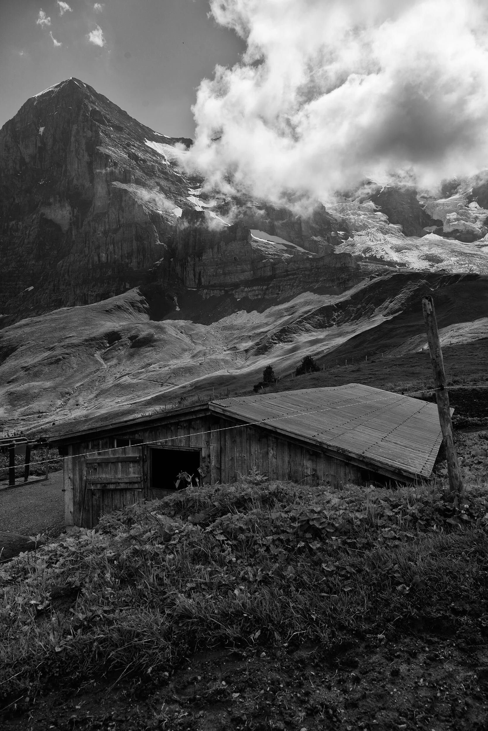 AlpSommer_1013©Desborough.jpg