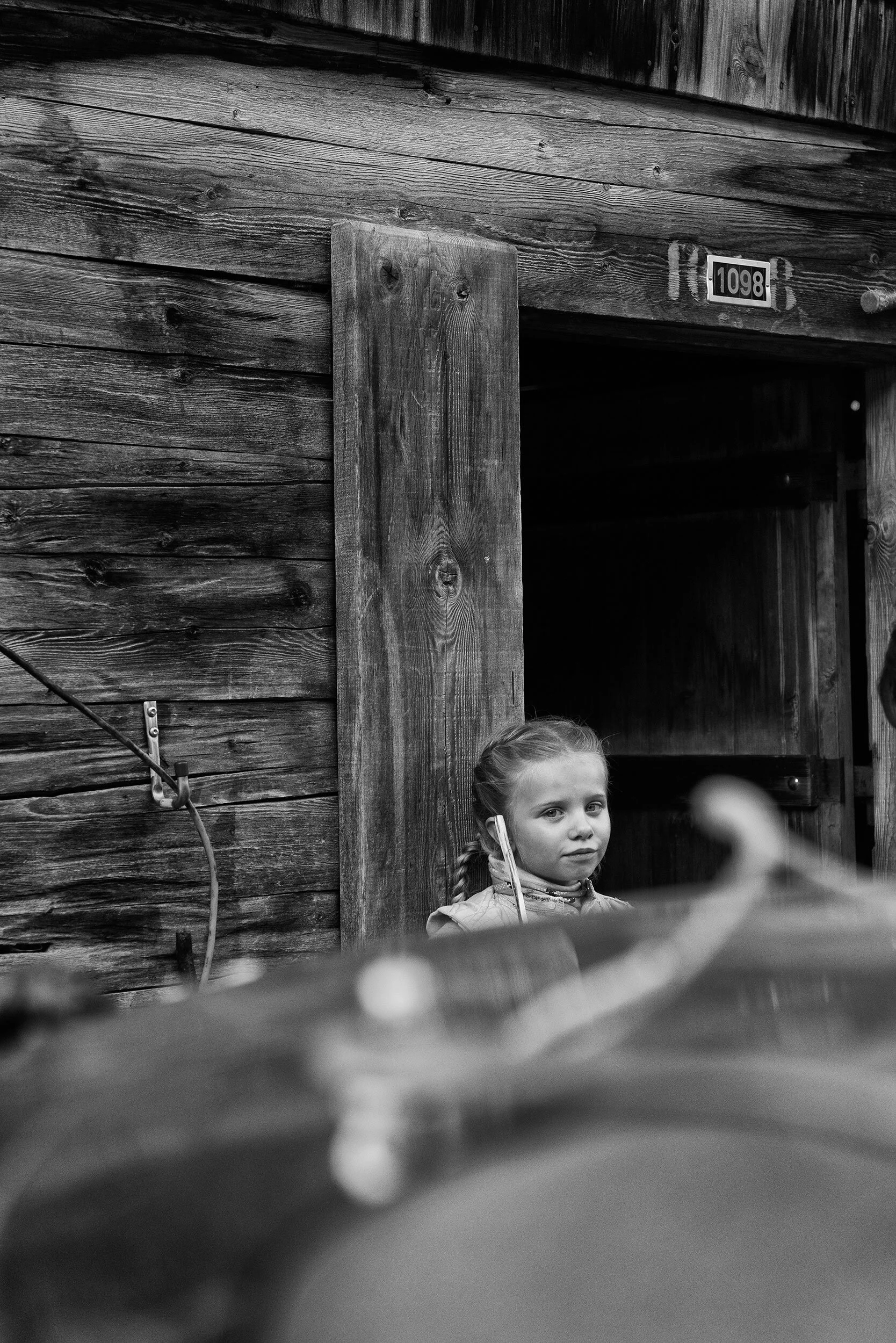 AlpSommer_2123©Desborough.jpg