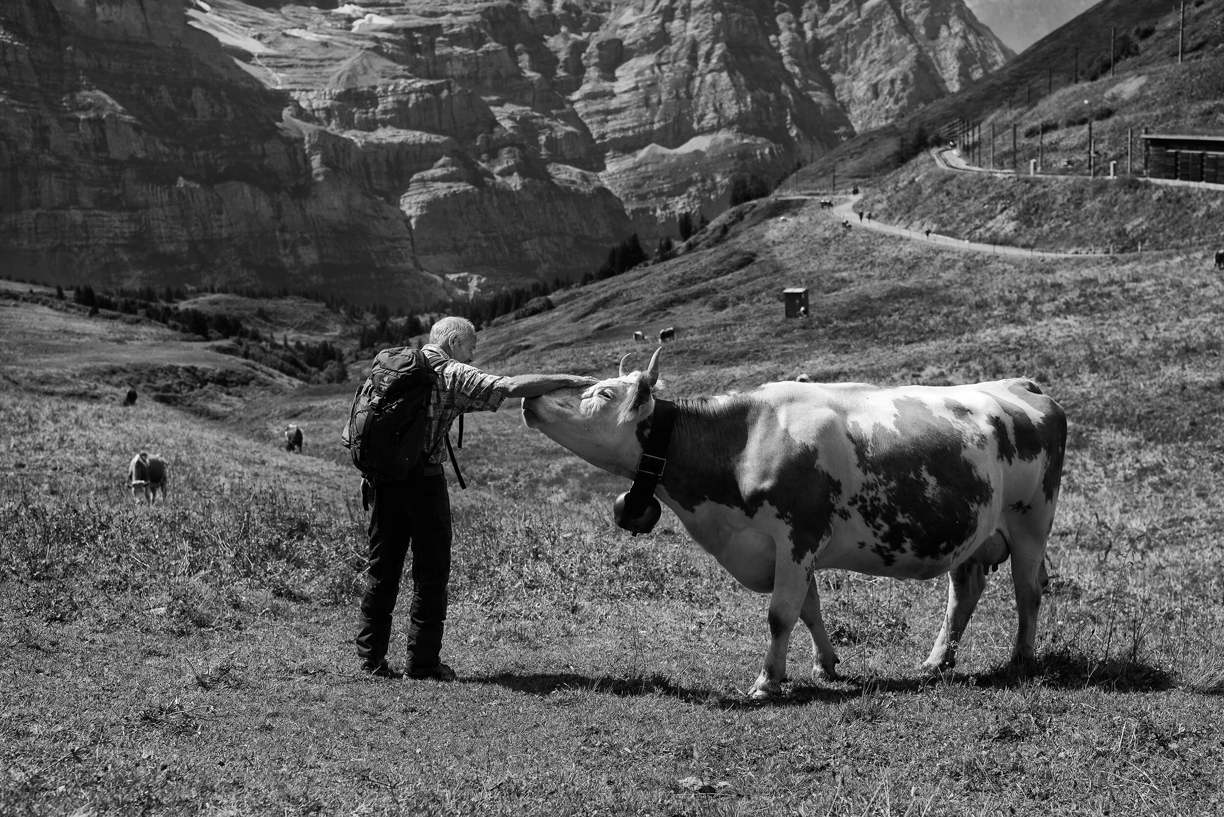 AlpSommer_1015©Desborough.jpg