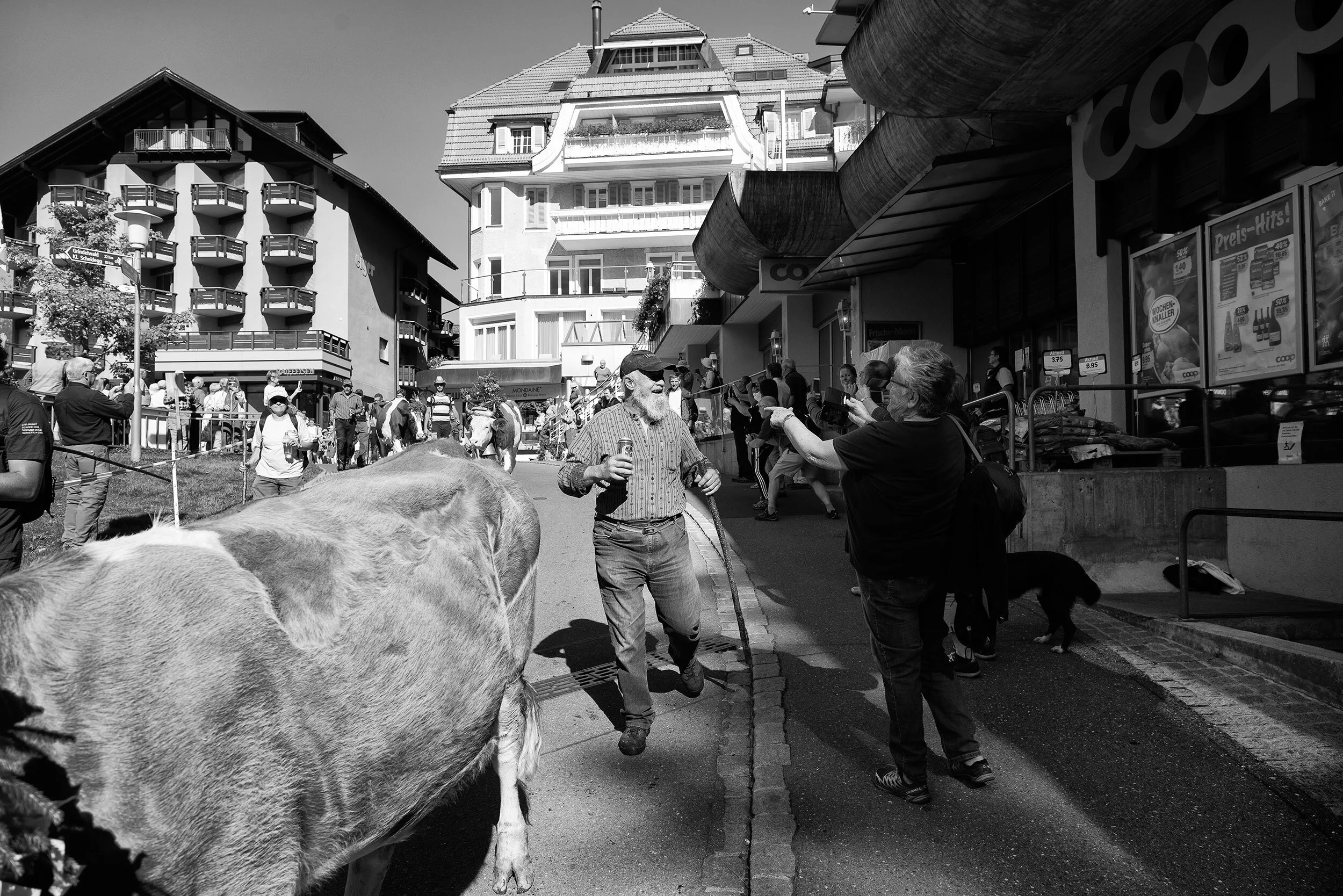 AlpSommer_2628©Desborough.jpg