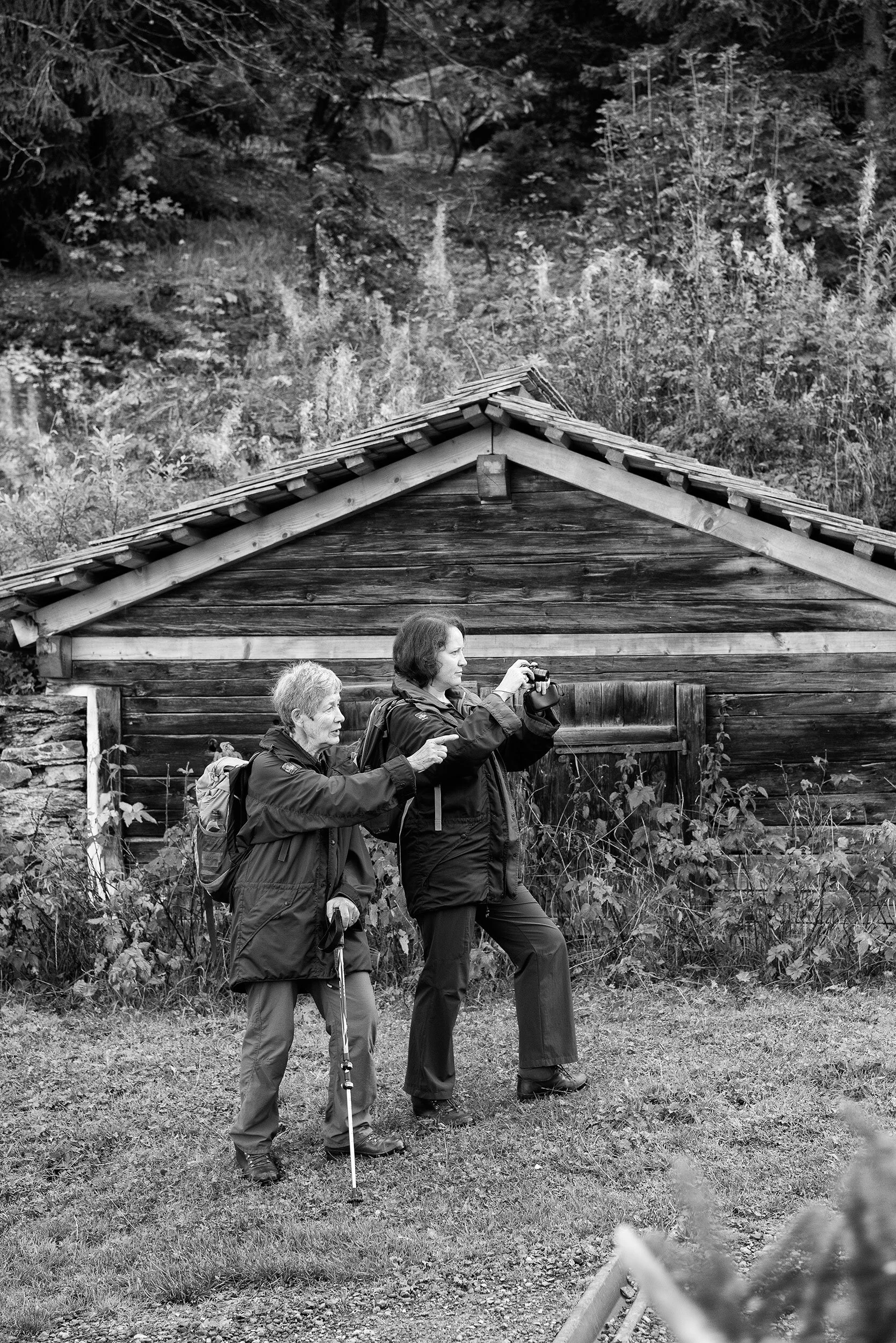 AlpSommer_2436©Desborough.jpg