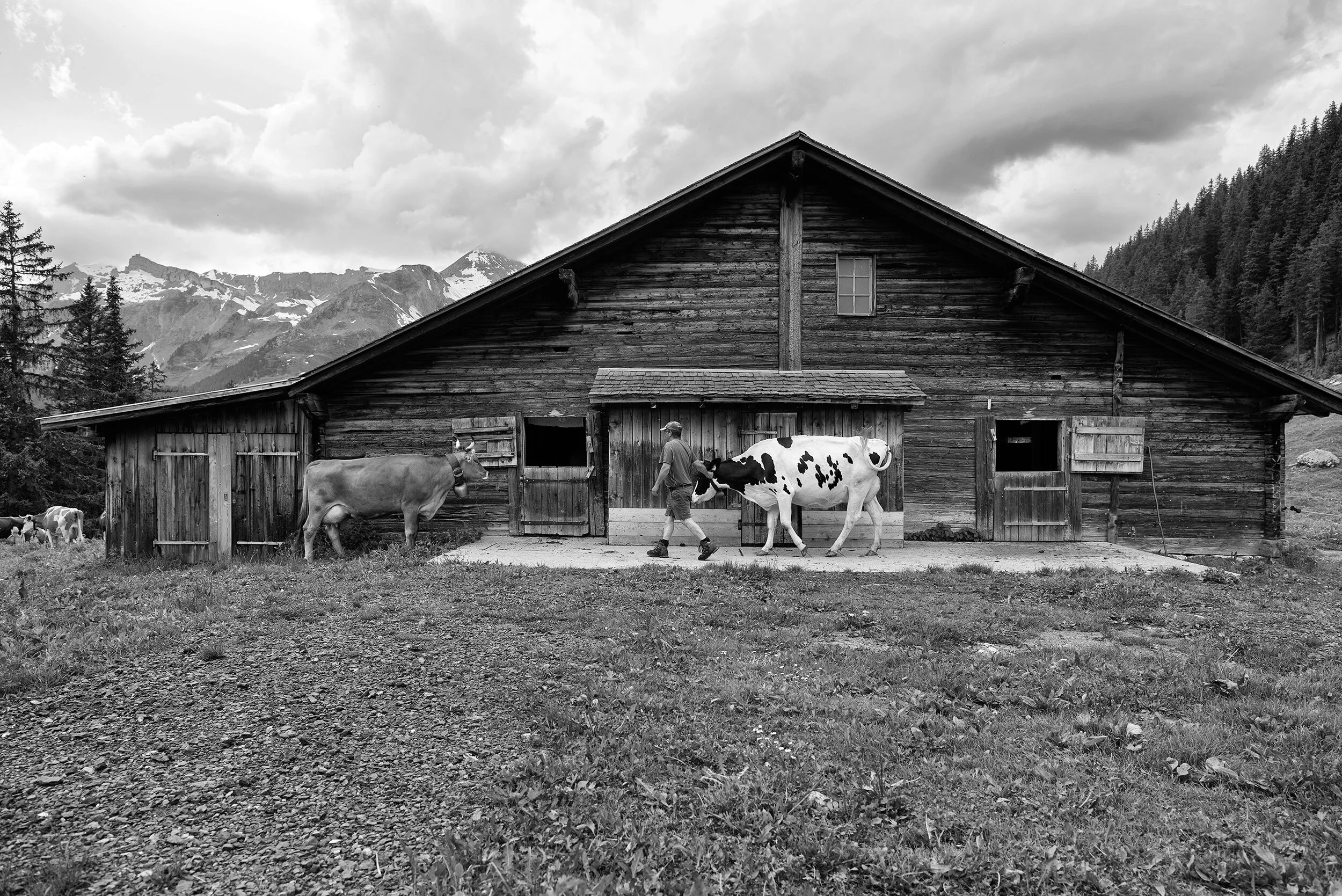 Alpsommer19_165©Desborough.jpg