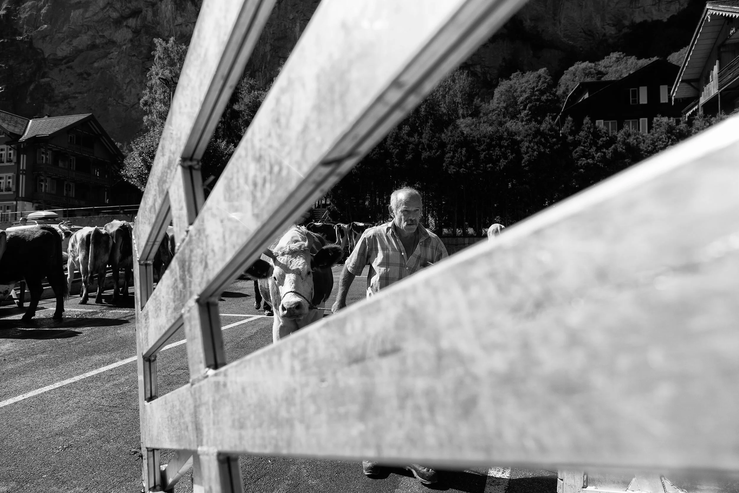 AlpSommer_2675©Desborough.jpg