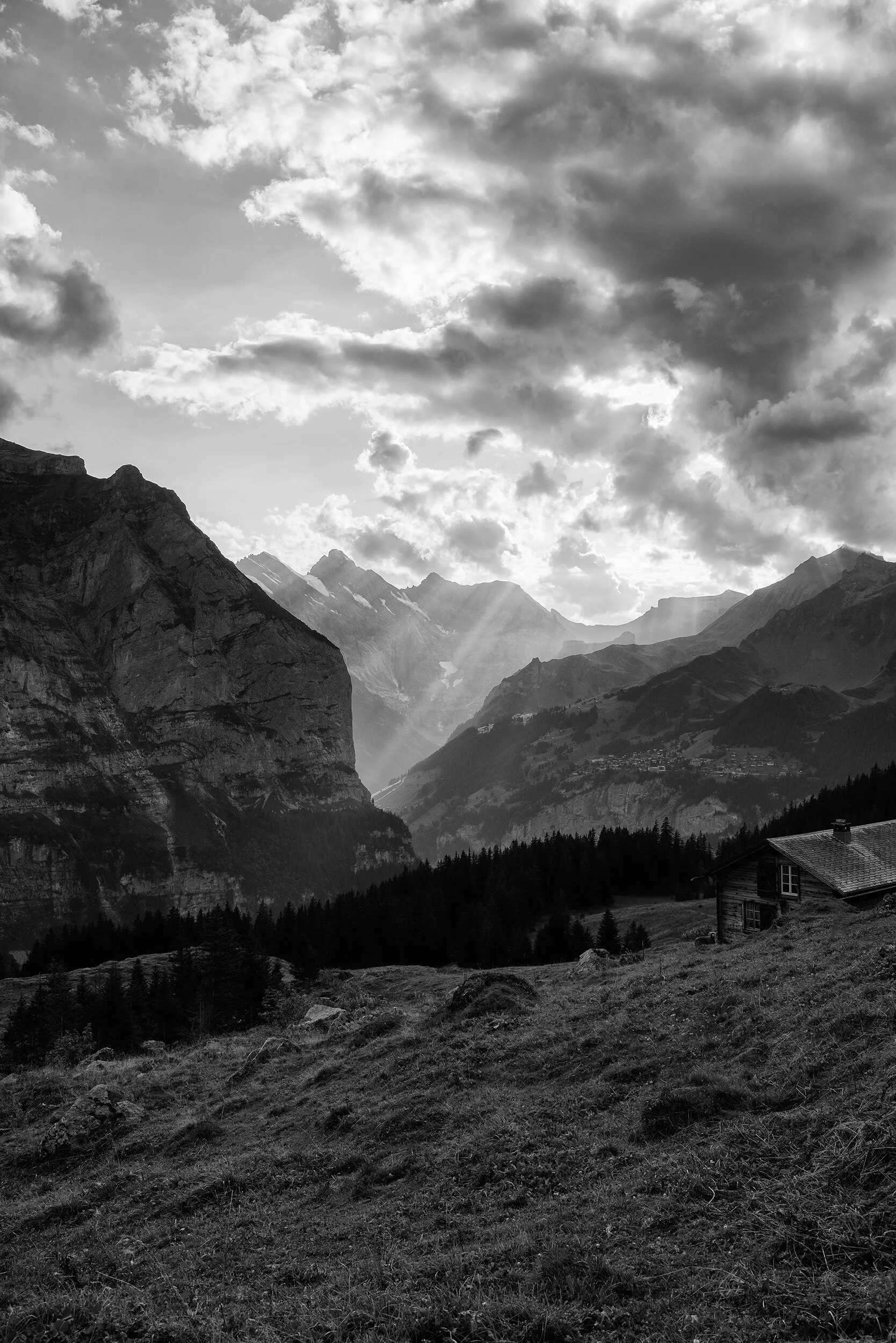 AlpSommer_2069©Desborough.jpg